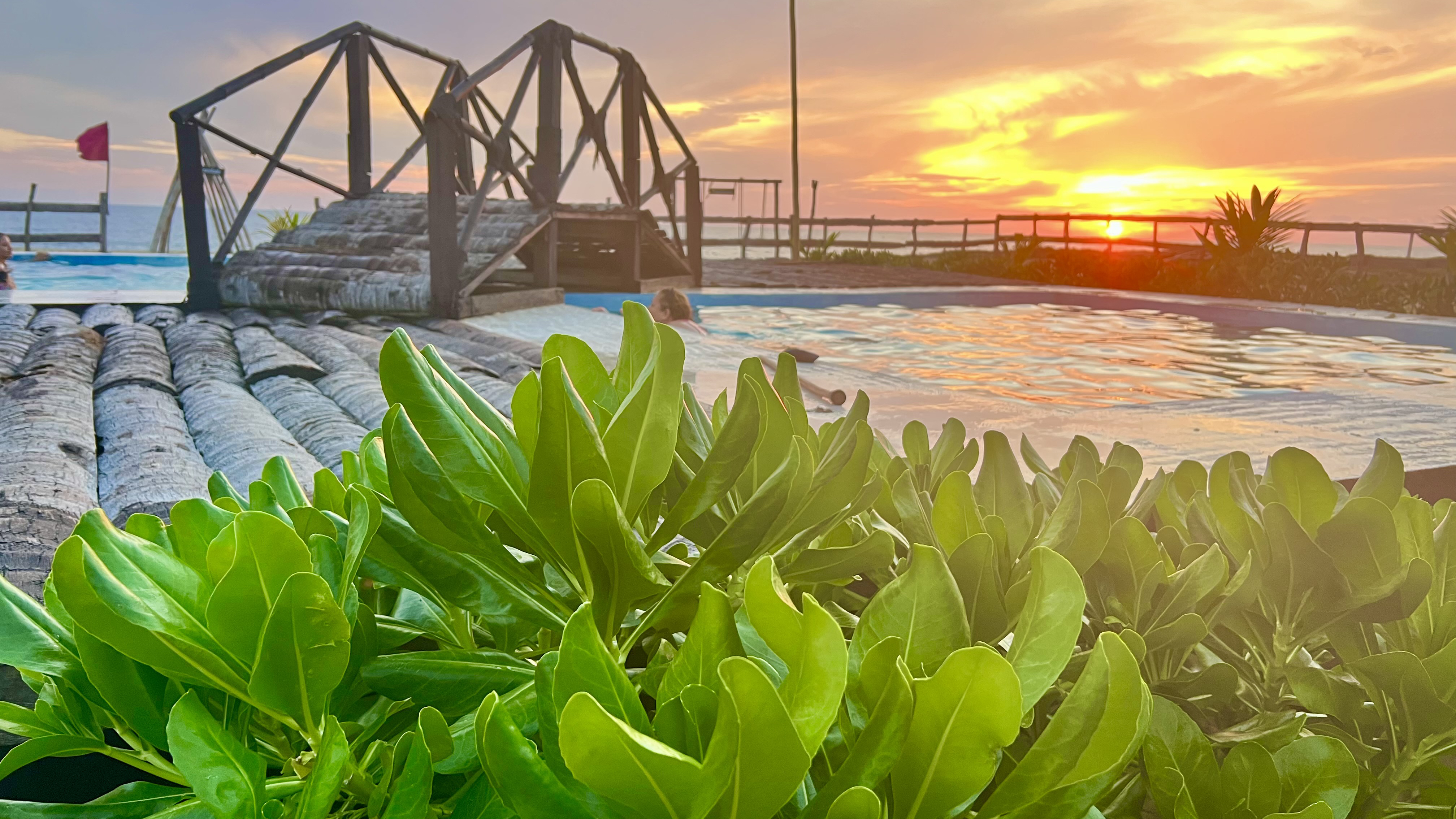 Playa Encantada Restaurante y Bar image 6