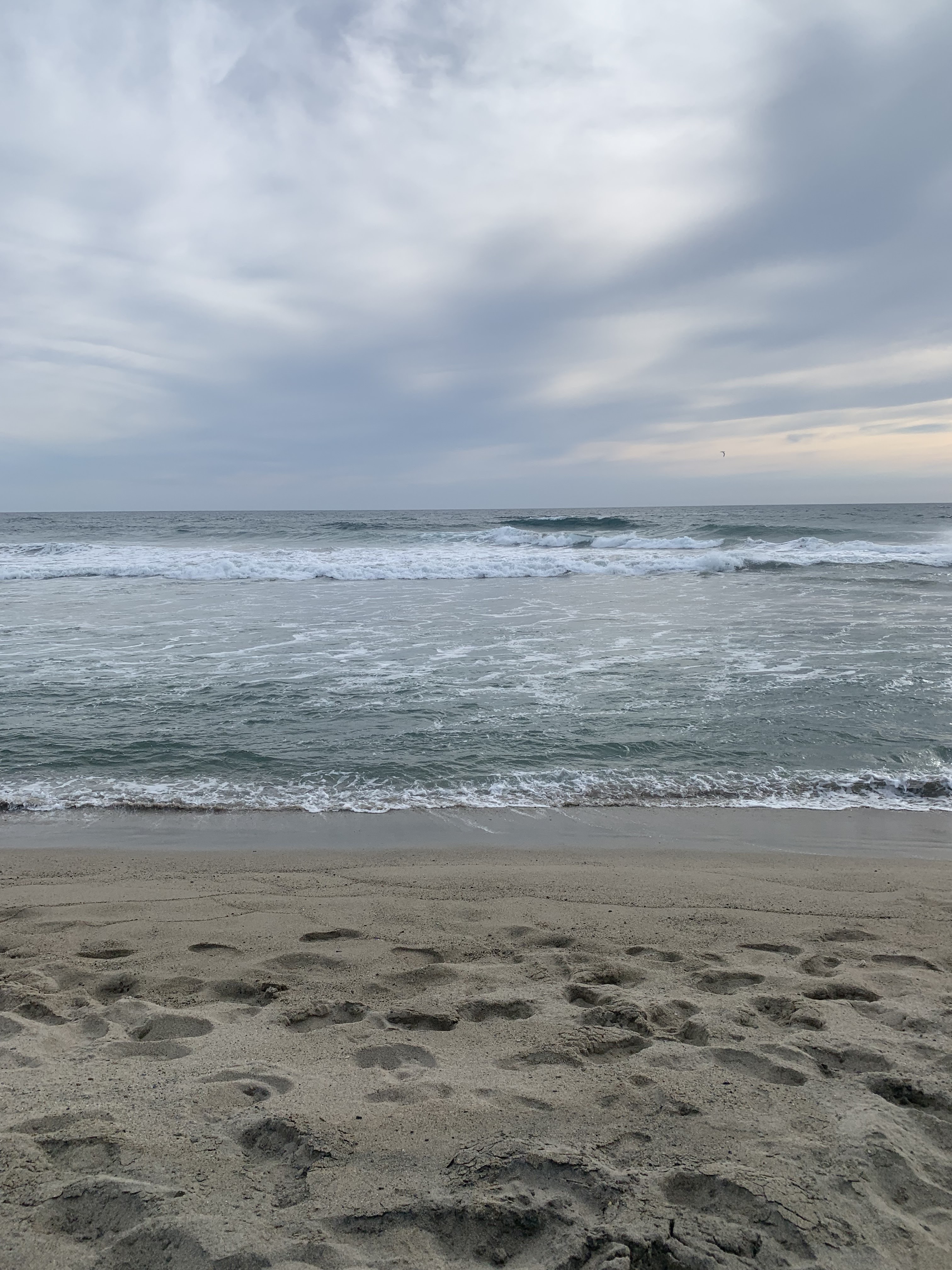 Restaurante AIDA (LOS BUNGALOWS) image 3