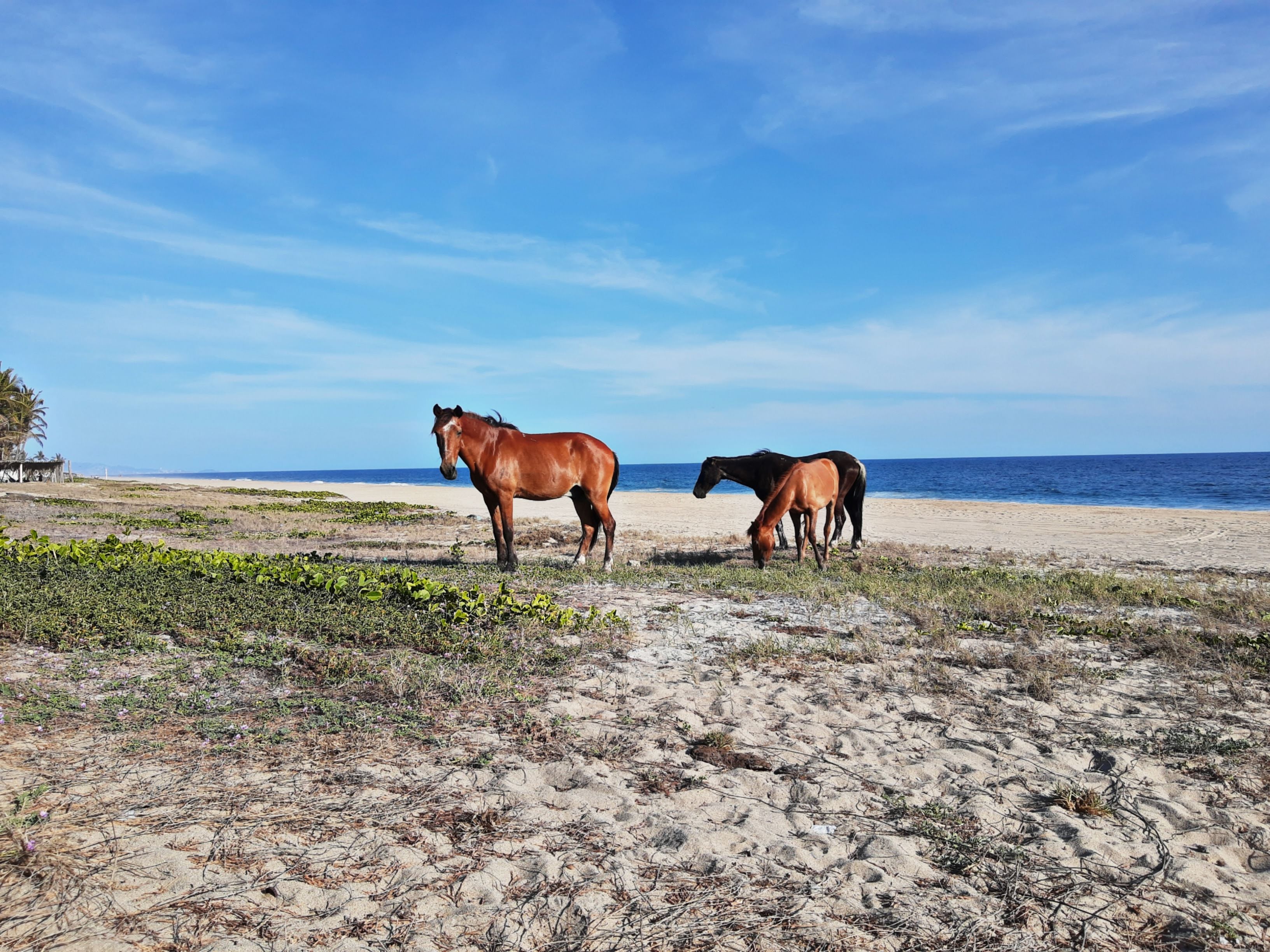 Restaurante AIDA (LOS BUNGALOWS) image 4