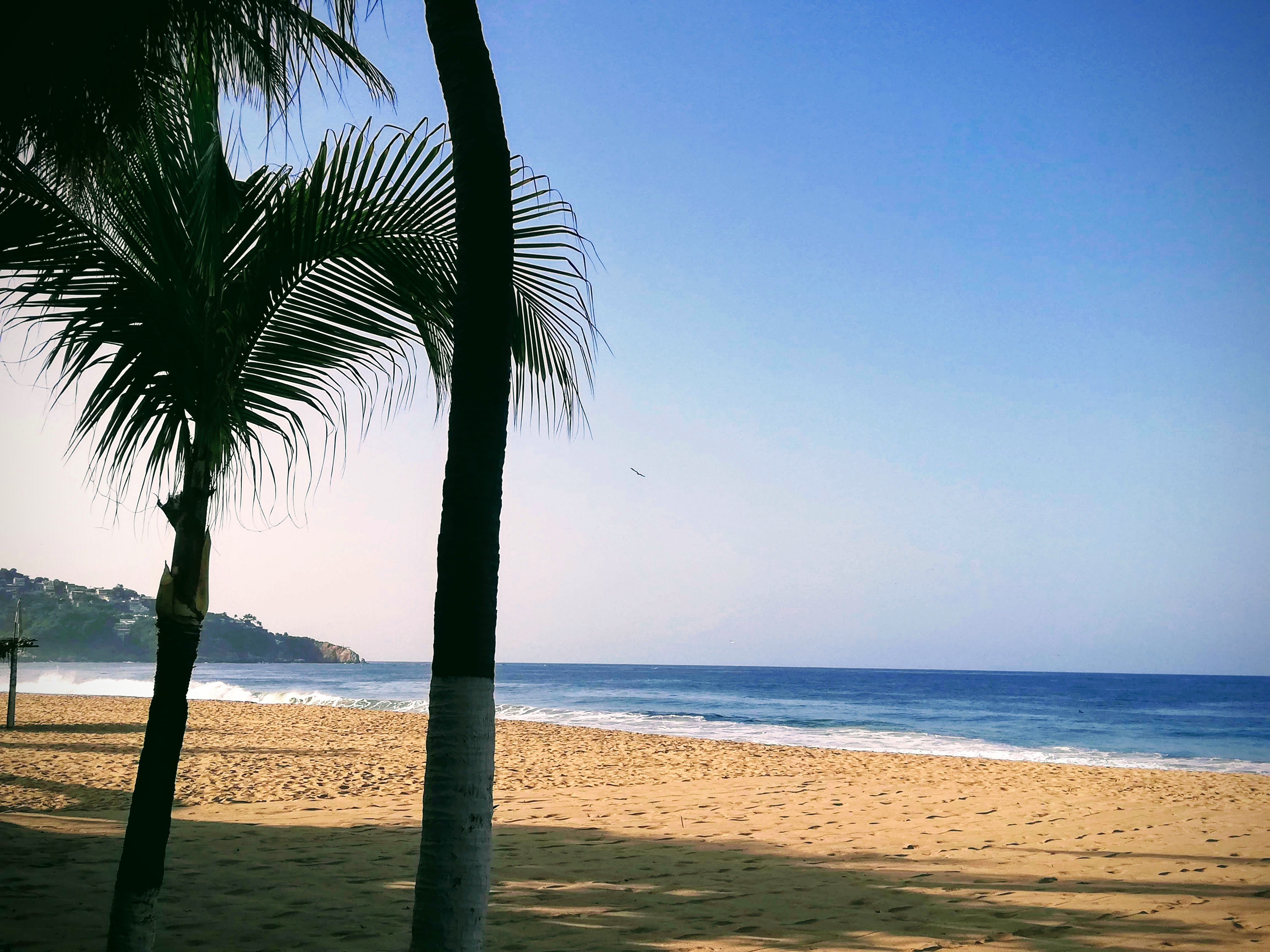 La Cabañita image 8