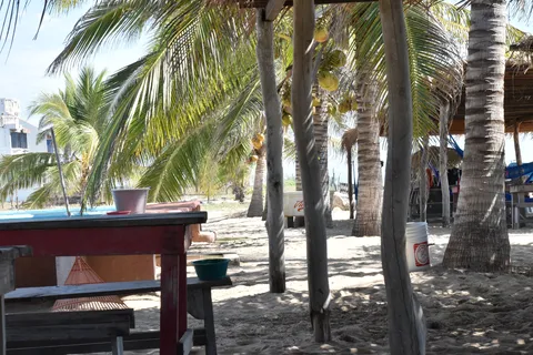 Bimbay image 1