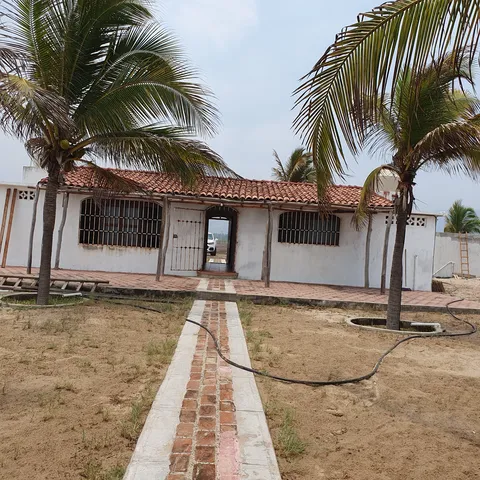 Bimbay image 4