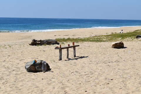 Bimbay image 5