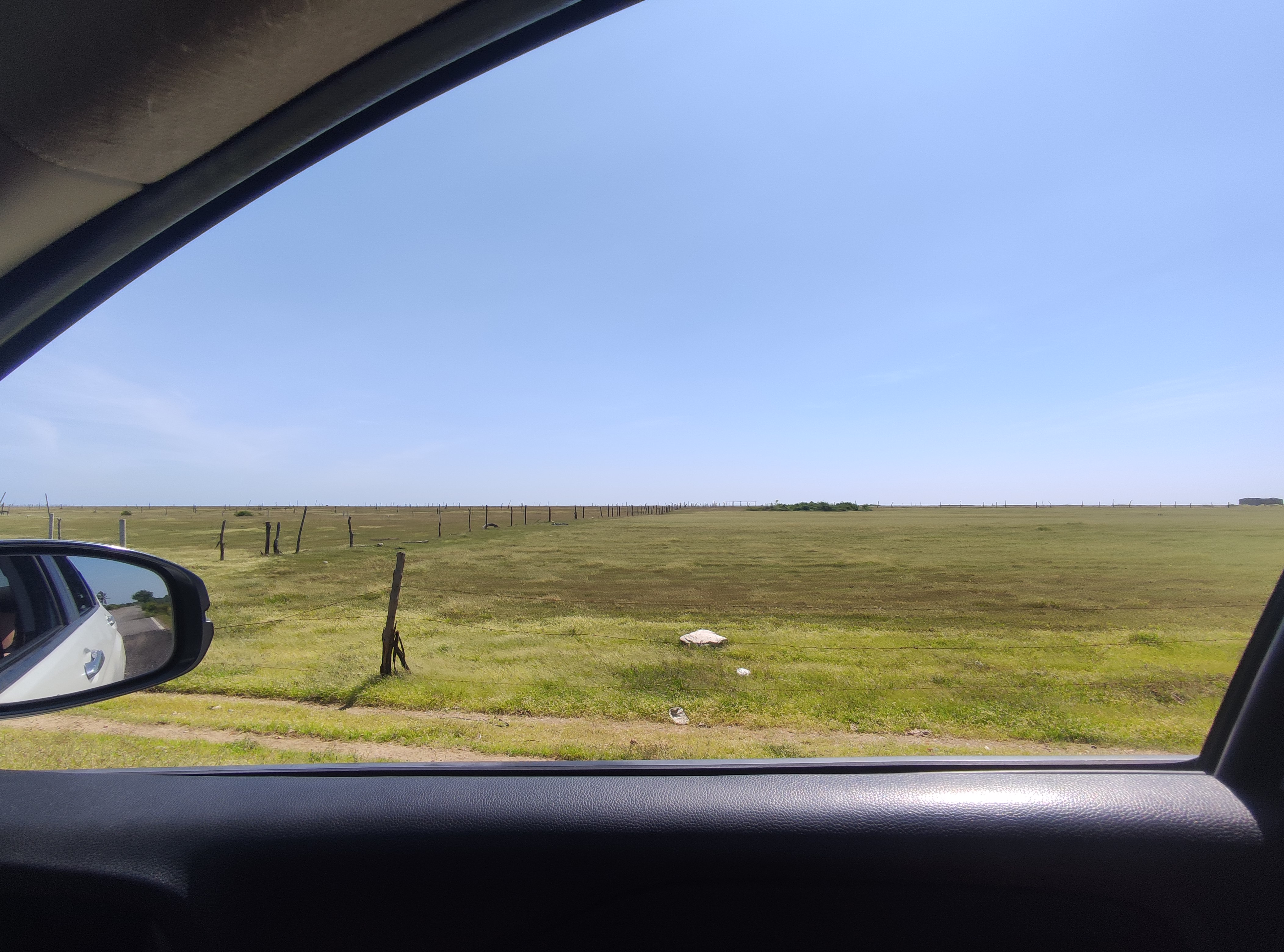 Bimbay image 9