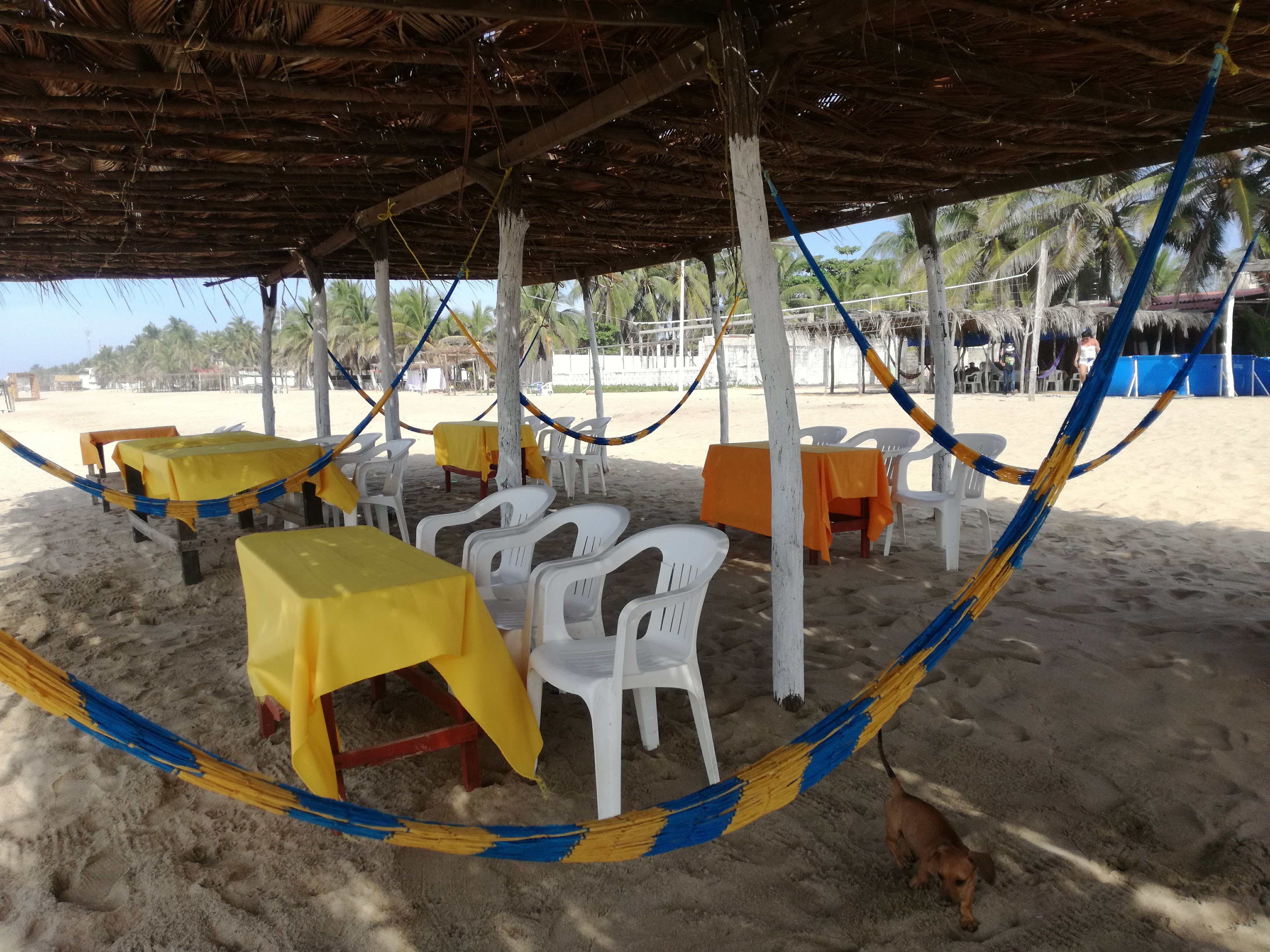 Restaurant Mayra image 8