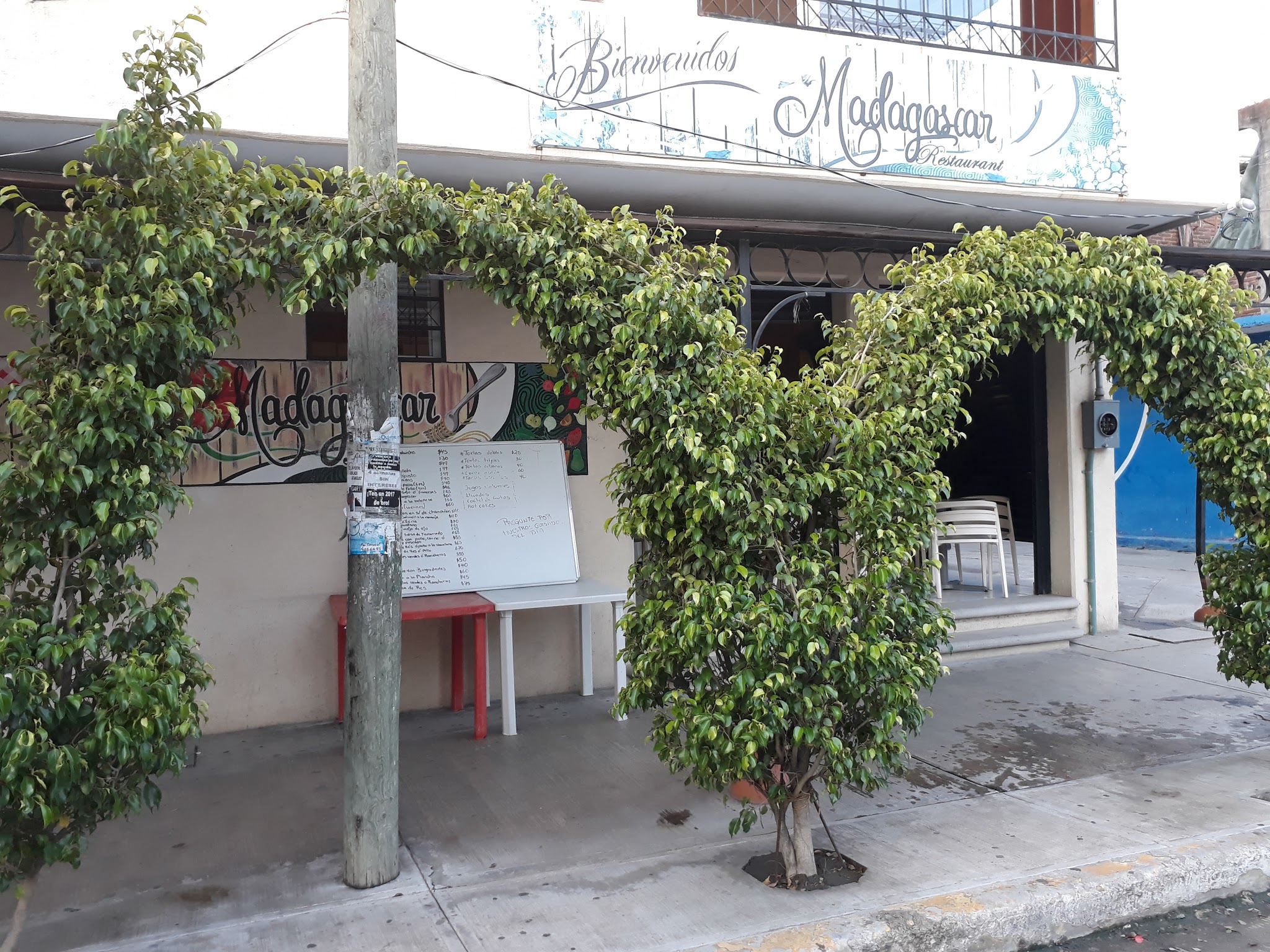 Madagascar Restaurant image 1