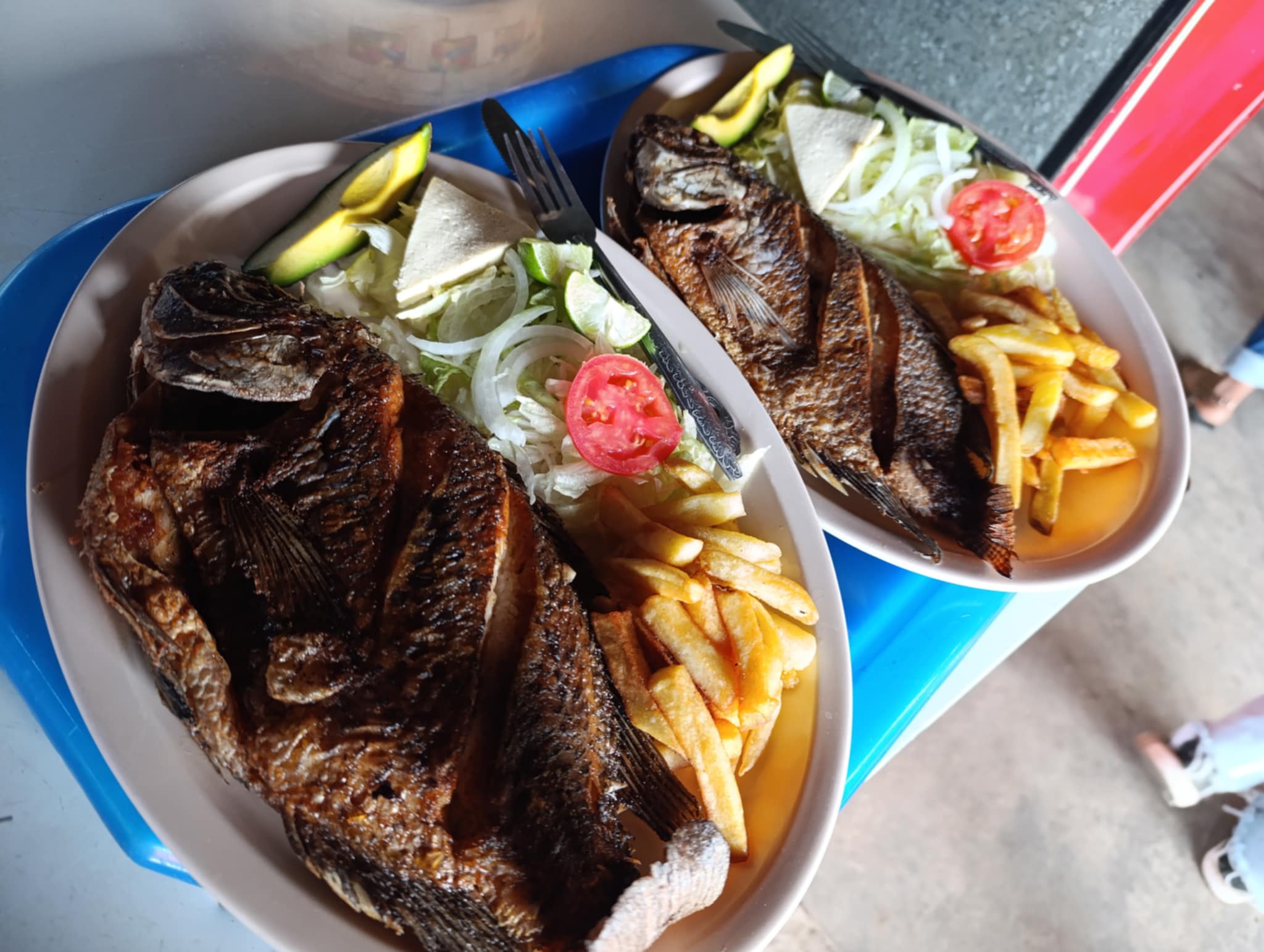 RESTAURANT "EL JACAL" image 6