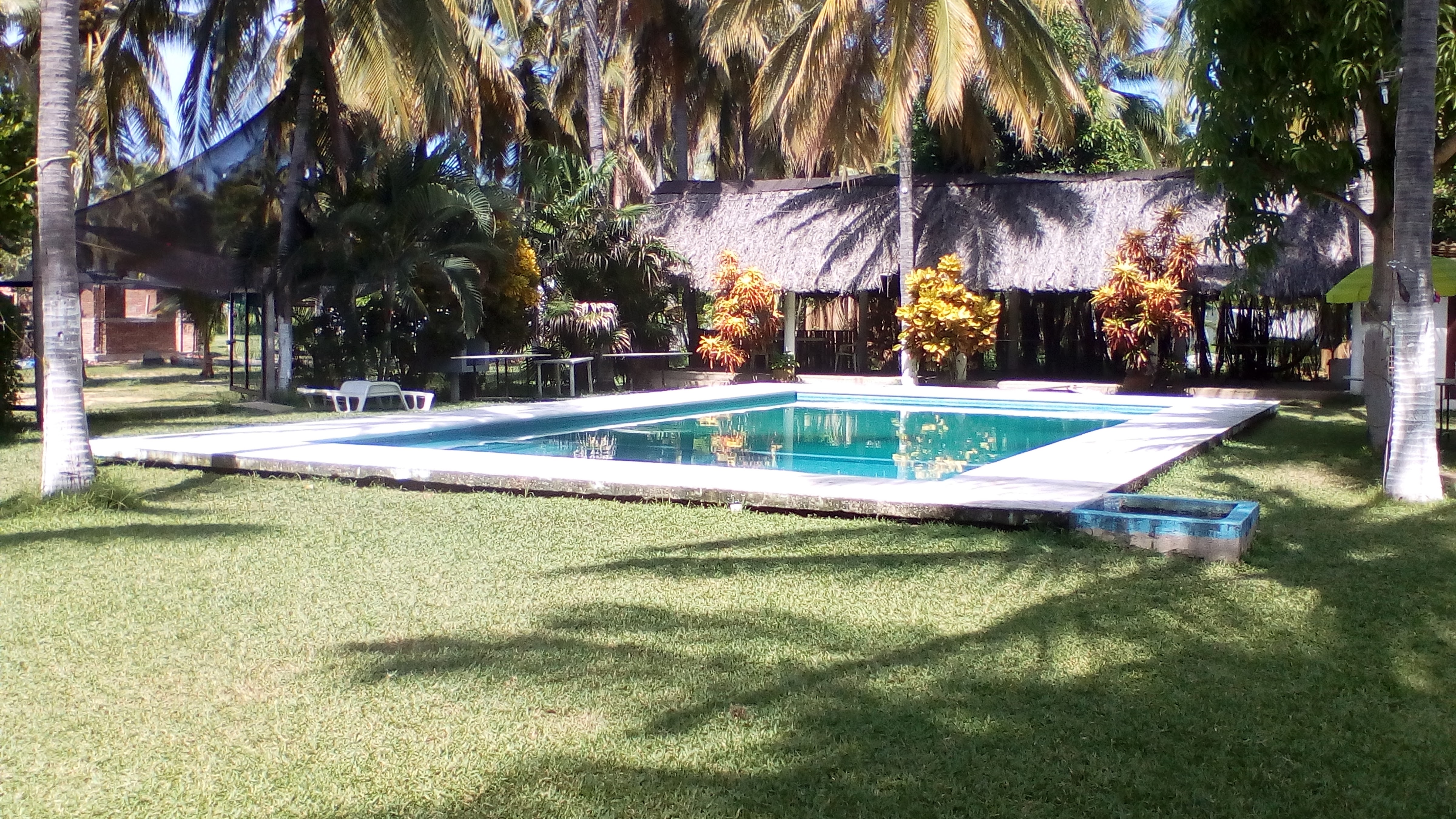 Restaurant Las Delicias image 7