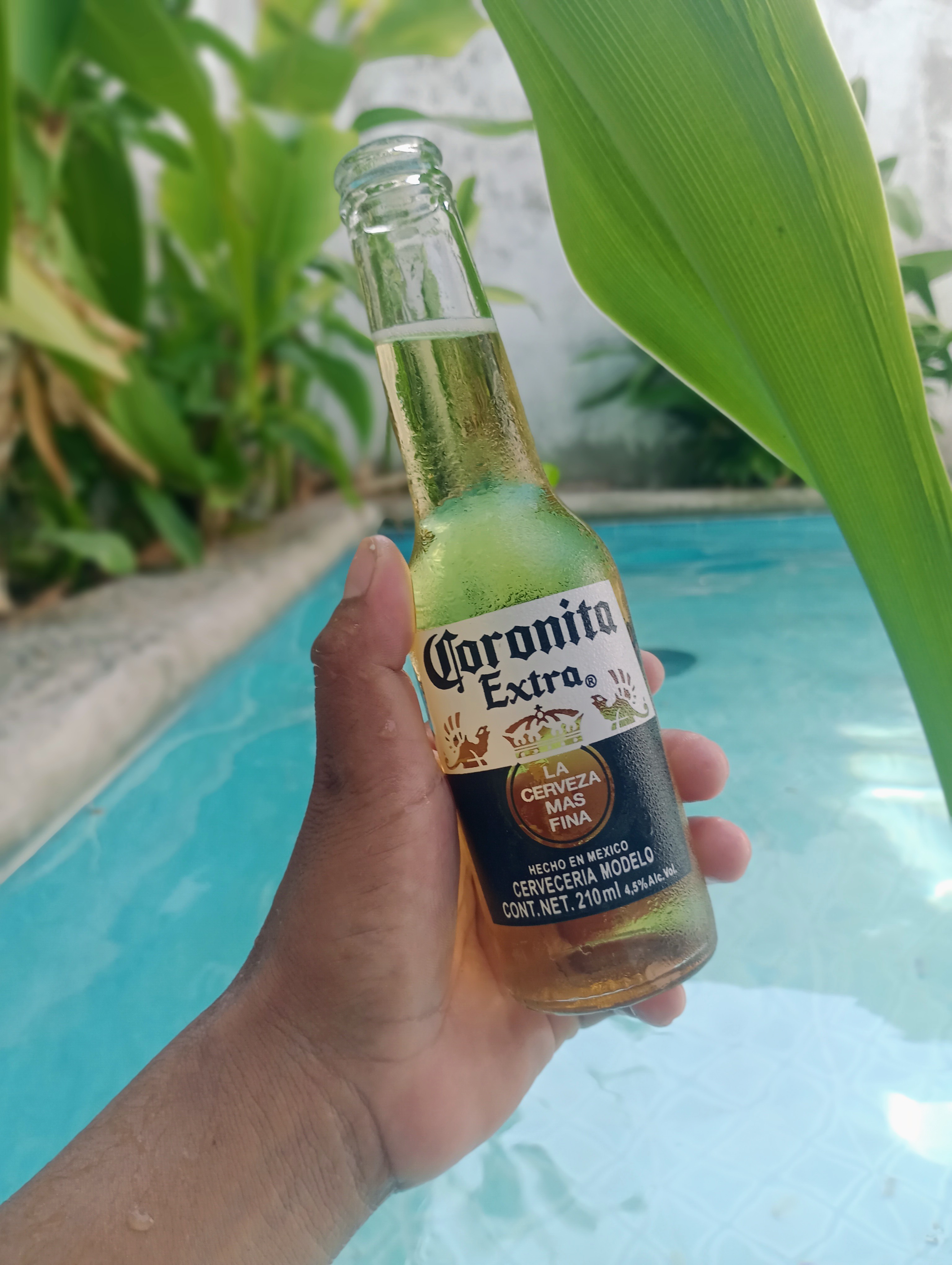 Restaurante willys foods image 5