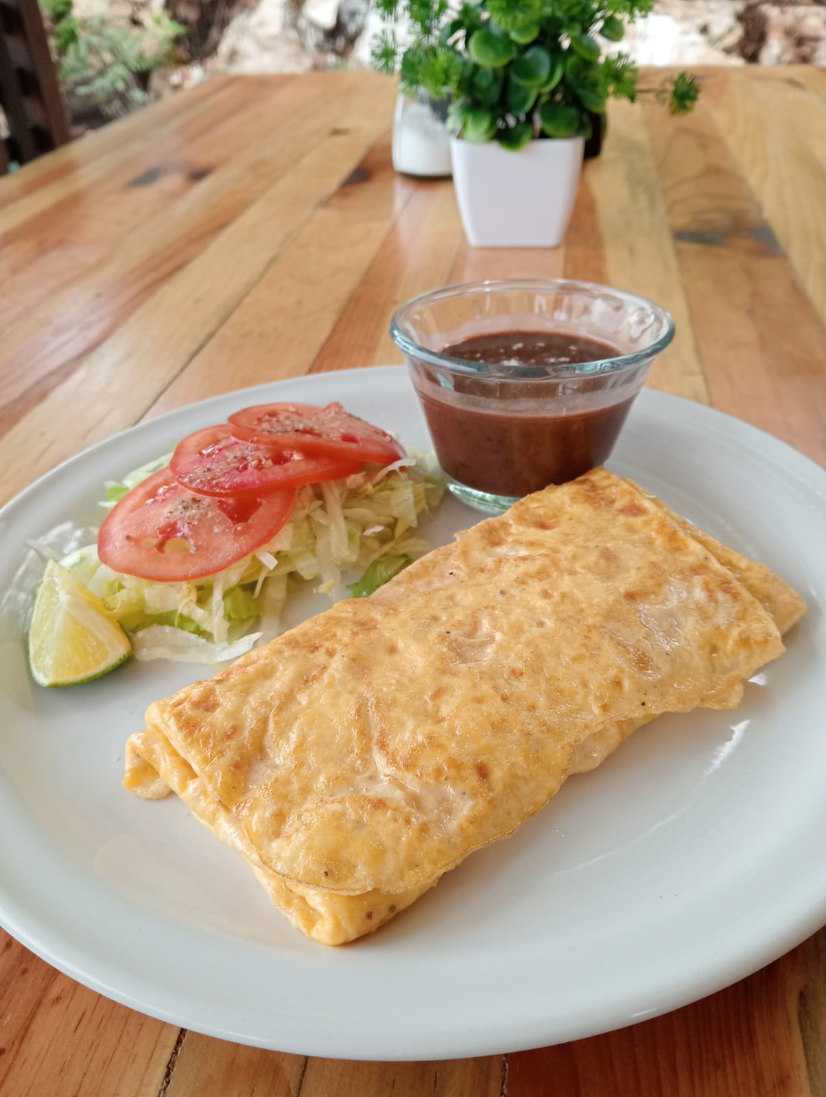 Cocina " la pequeña Ariel " image 7