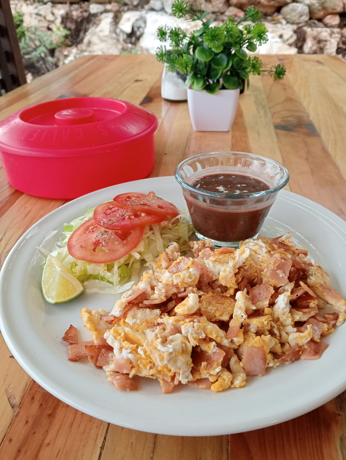 Cocina " la pequeña Ariel " image 10