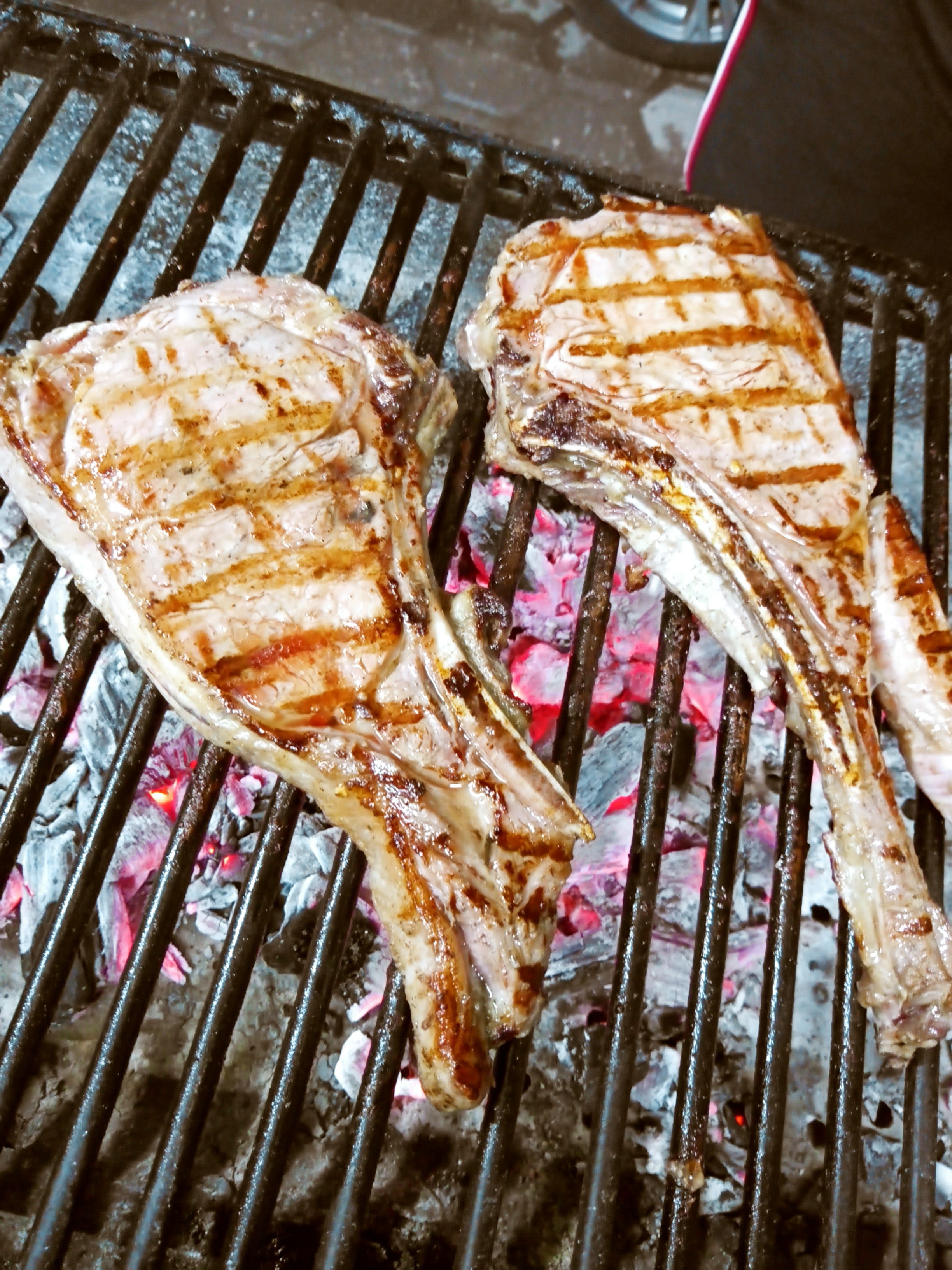 Grill Vs Taco image 1