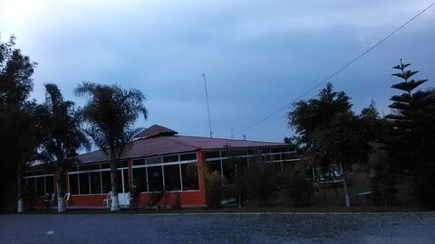 Mariscos Las Mojarras Vivas image 3