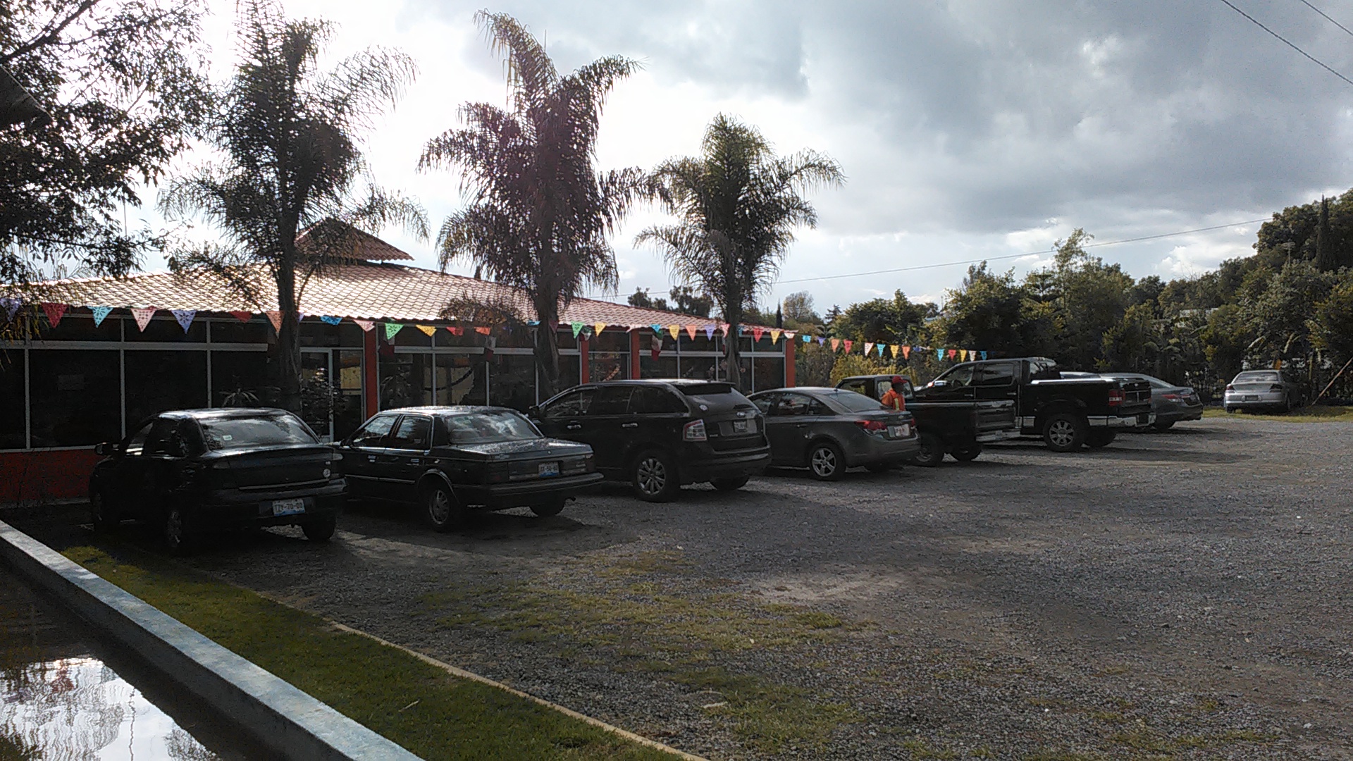 Mariscos Las Mojarras Vivas image 8