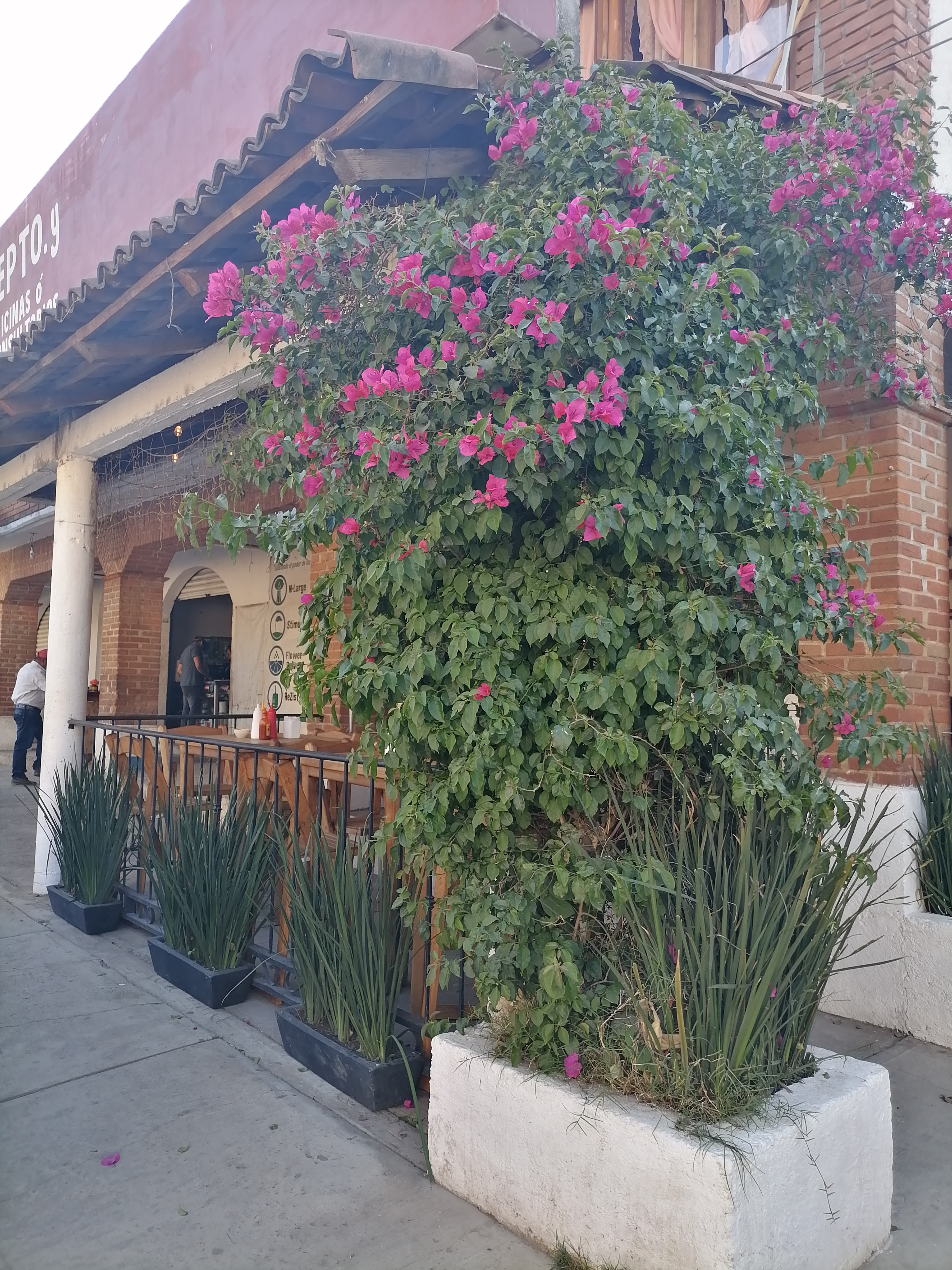 "Snack's Malacatito" Hamburguesas image 9