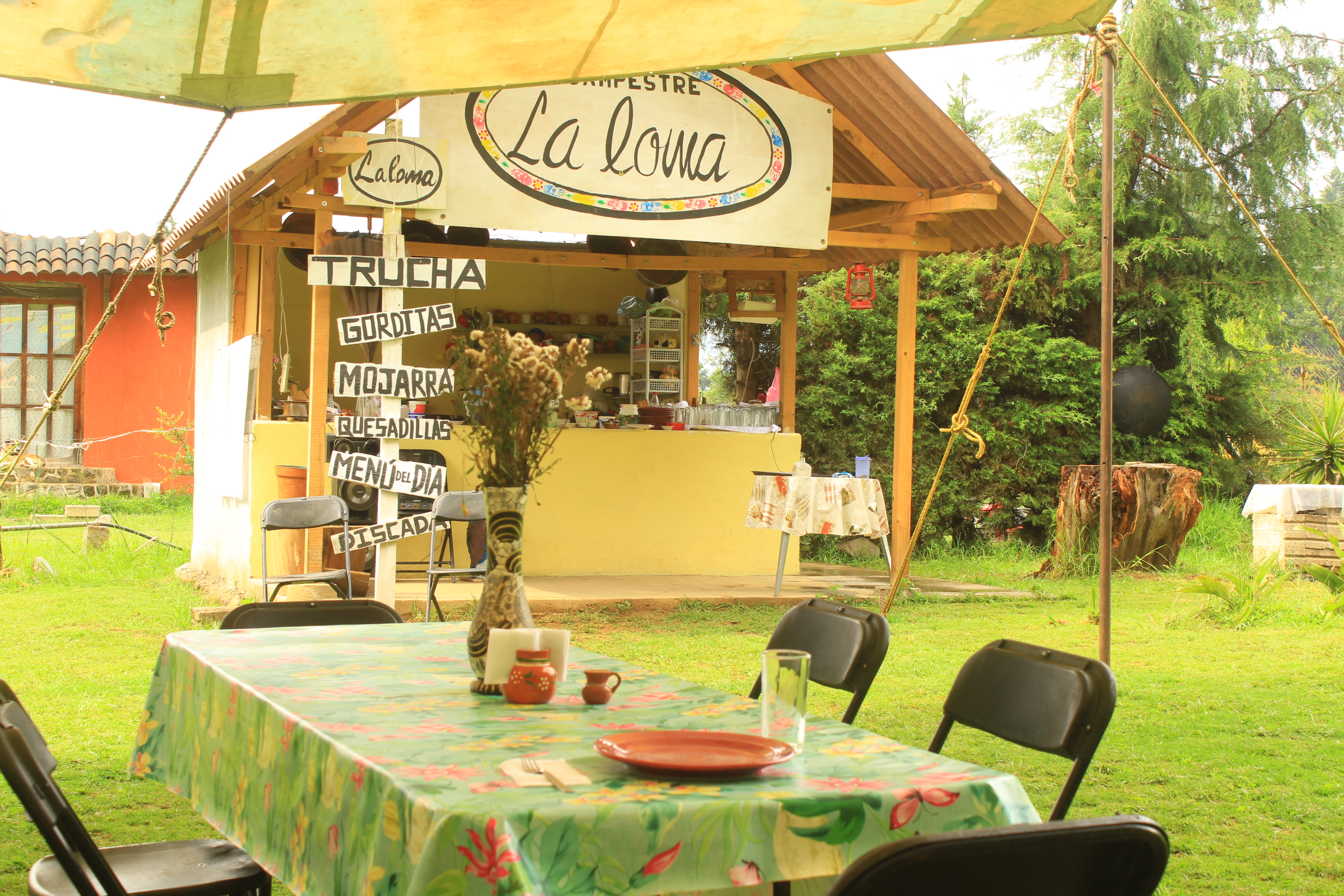 Campestre La Loma image 8