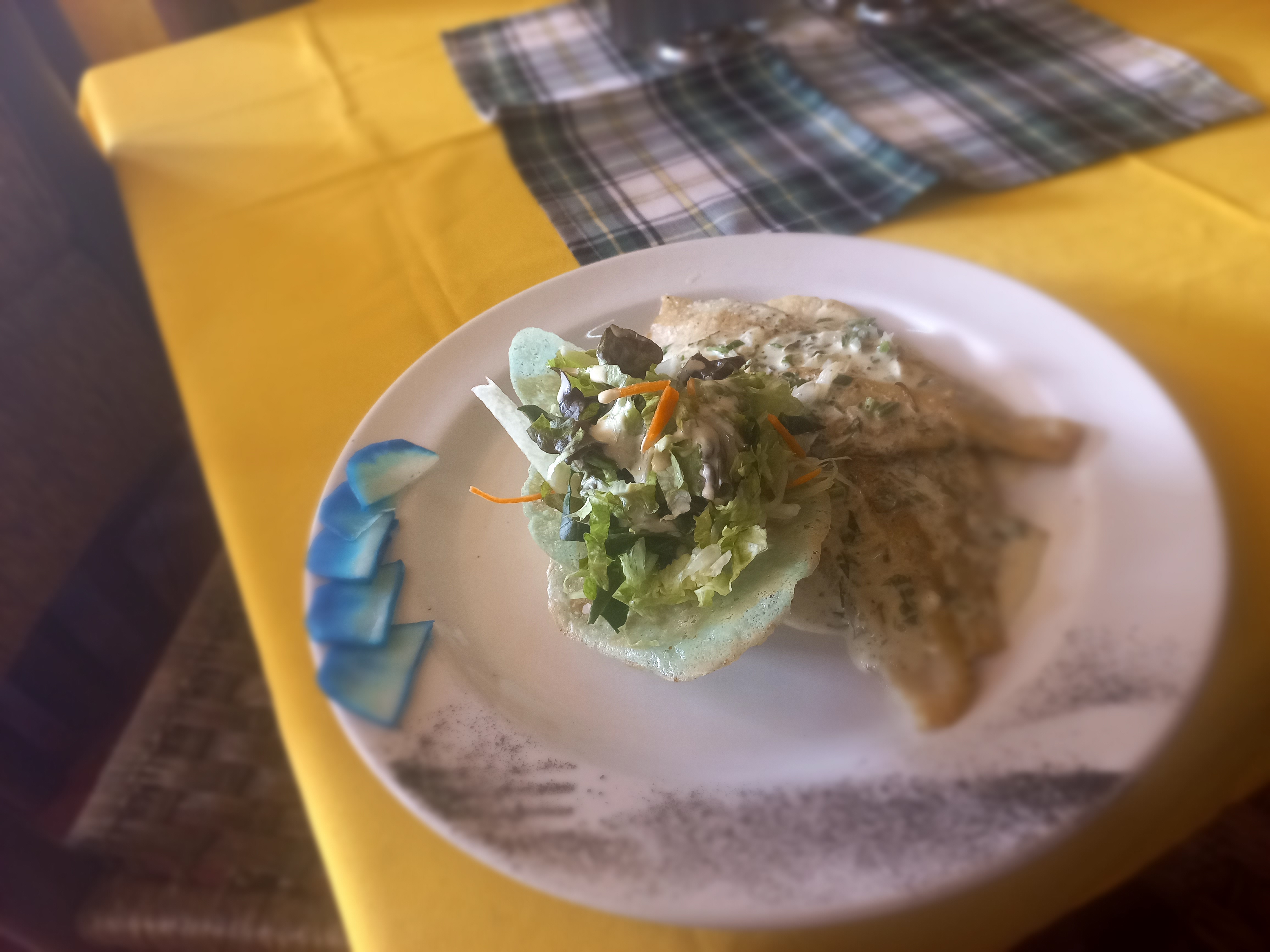 El campestre Restaurant and bar image 5