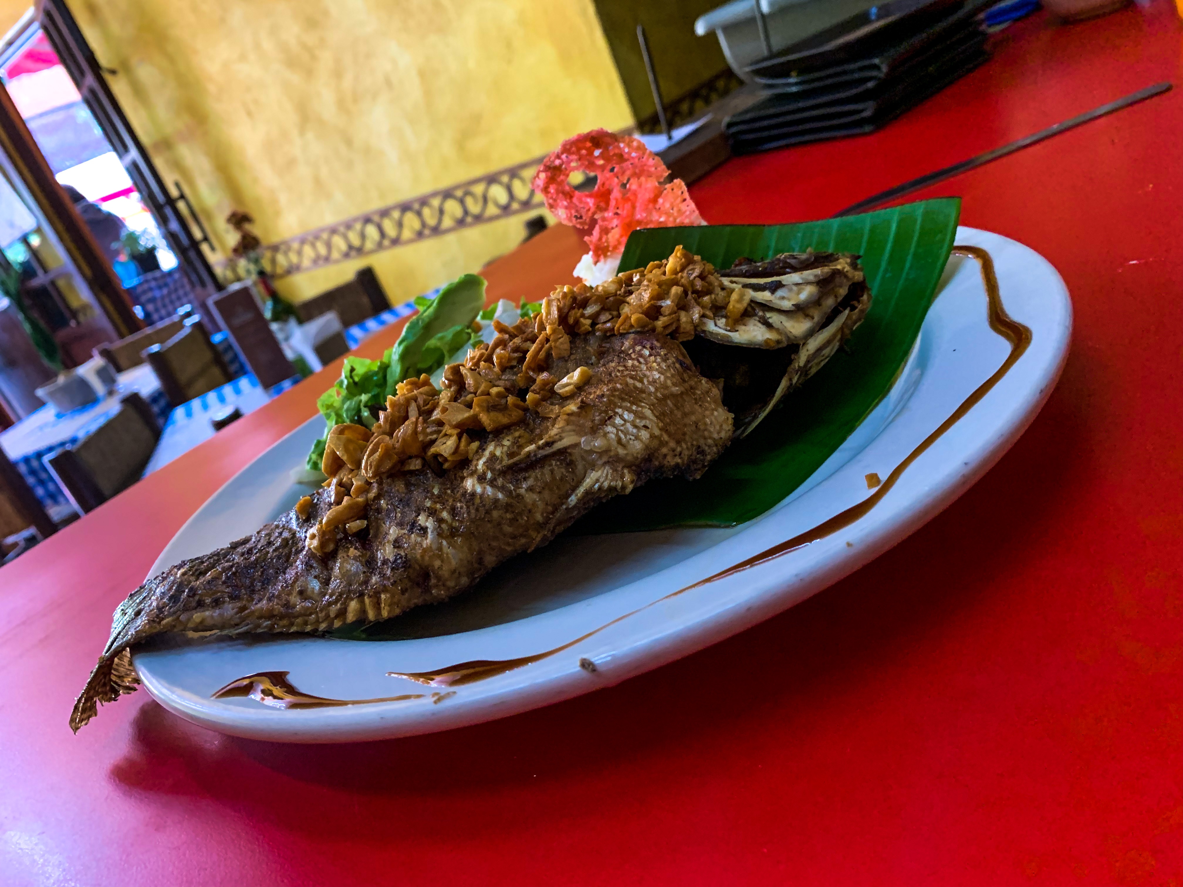 El campestre Restaurant and bar image 7