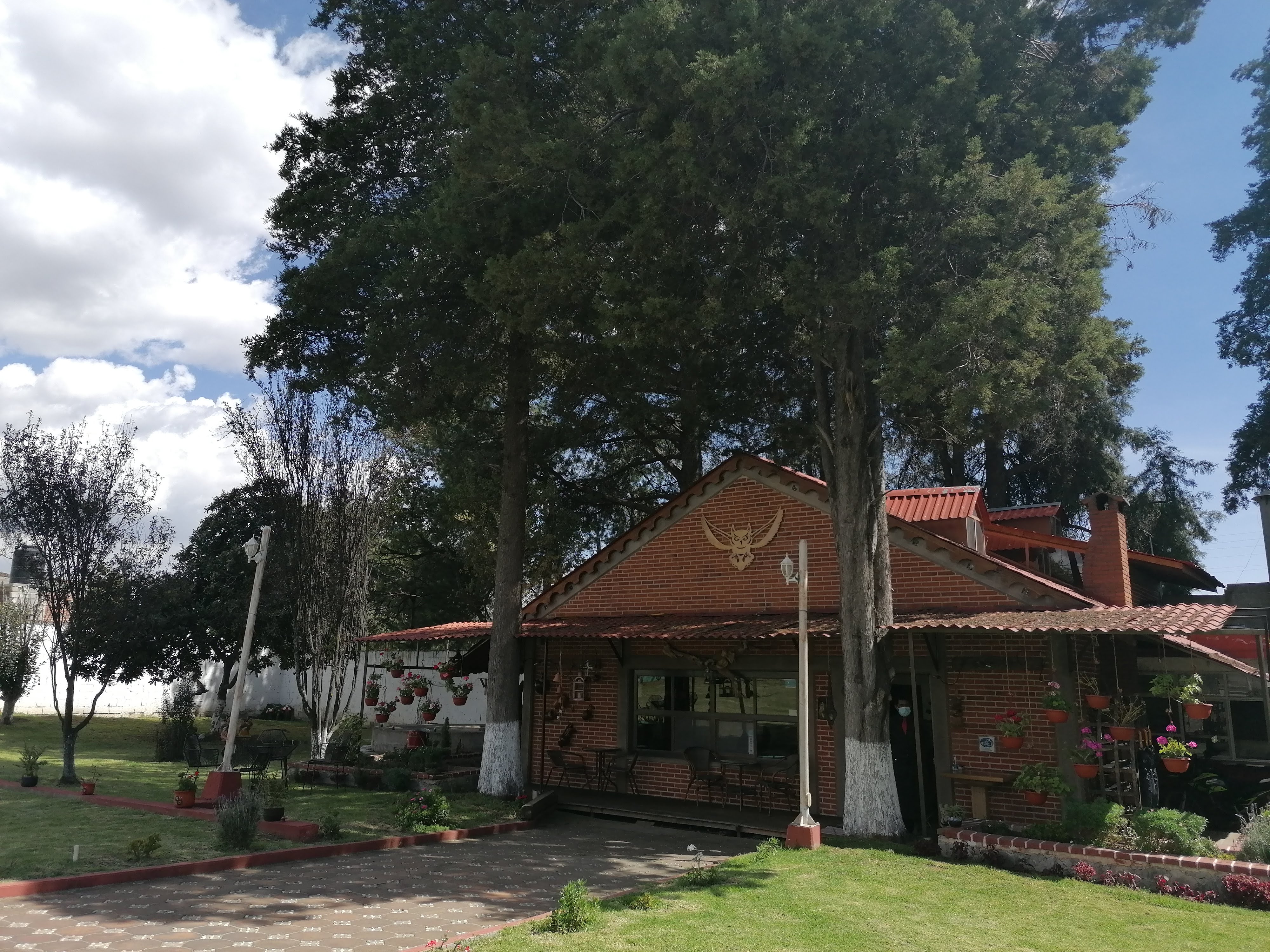 LA CABAÑA DE LOS BUHOS image 3