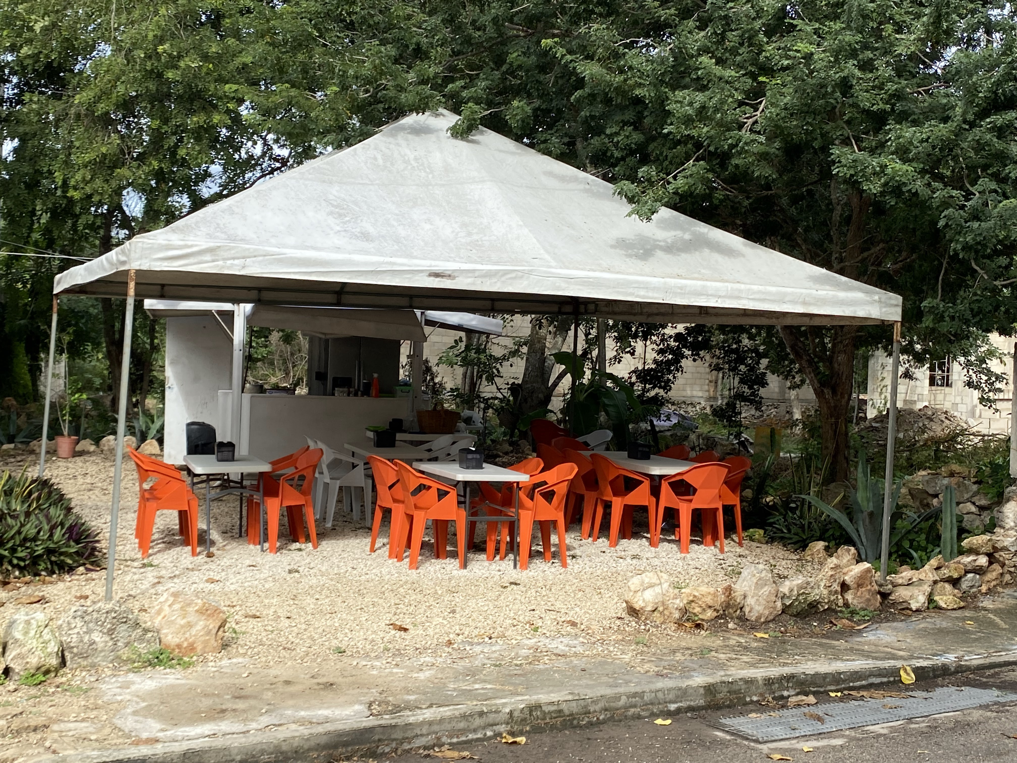 Barbacoa Los Tolucos image 3