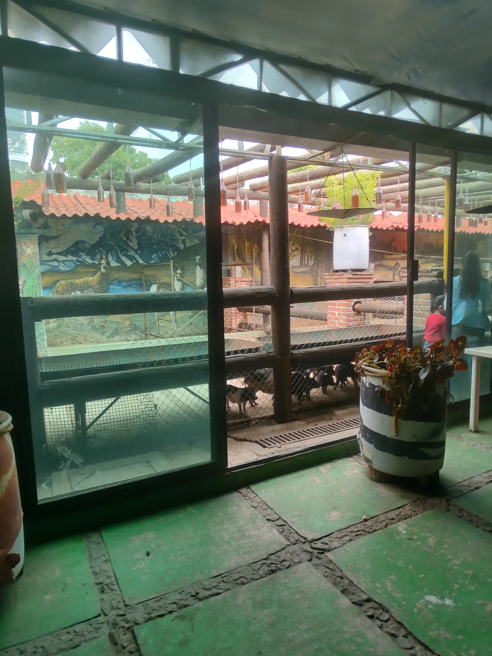Jungla Real image 1