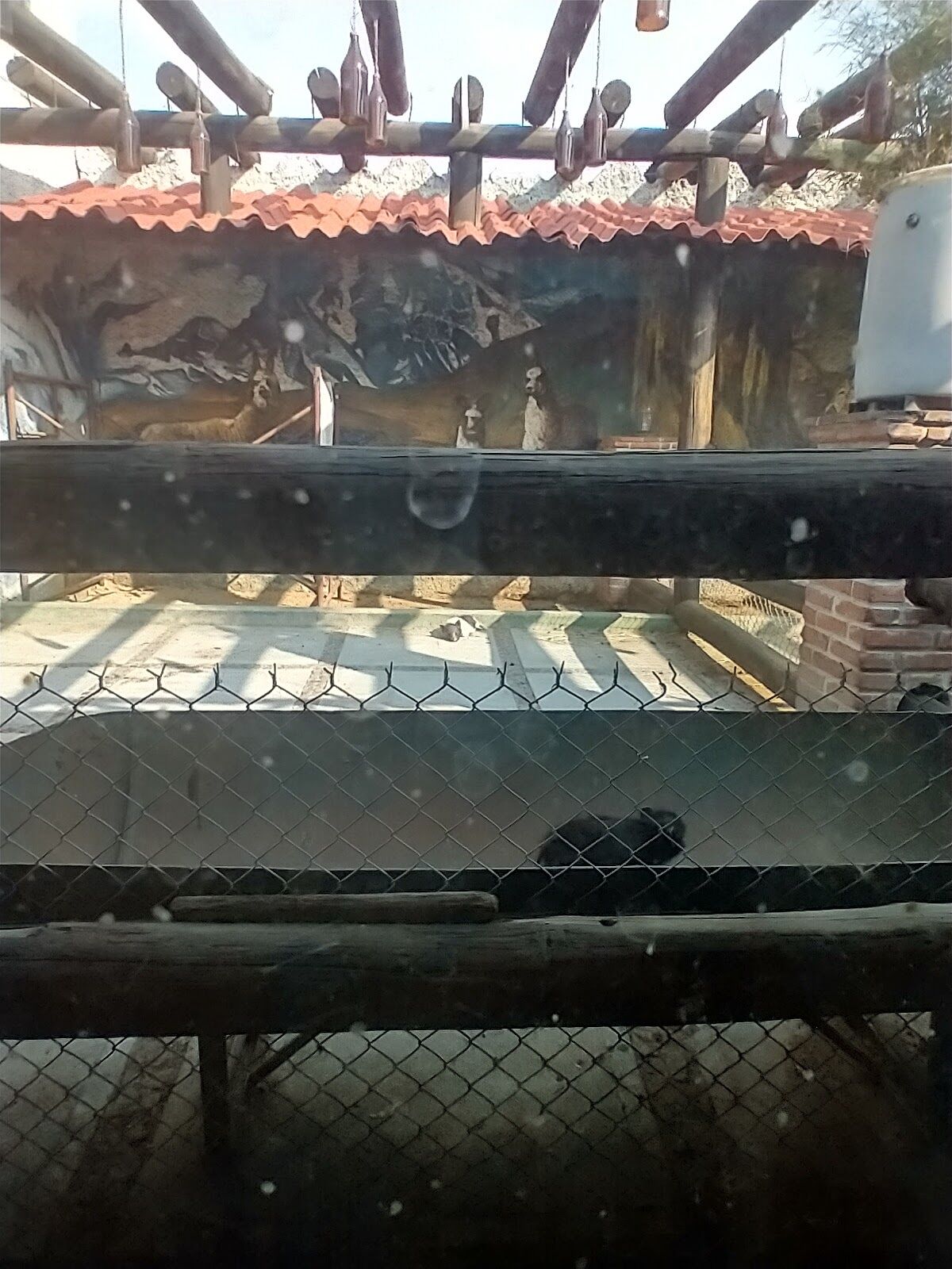 Jungla Real image 7
