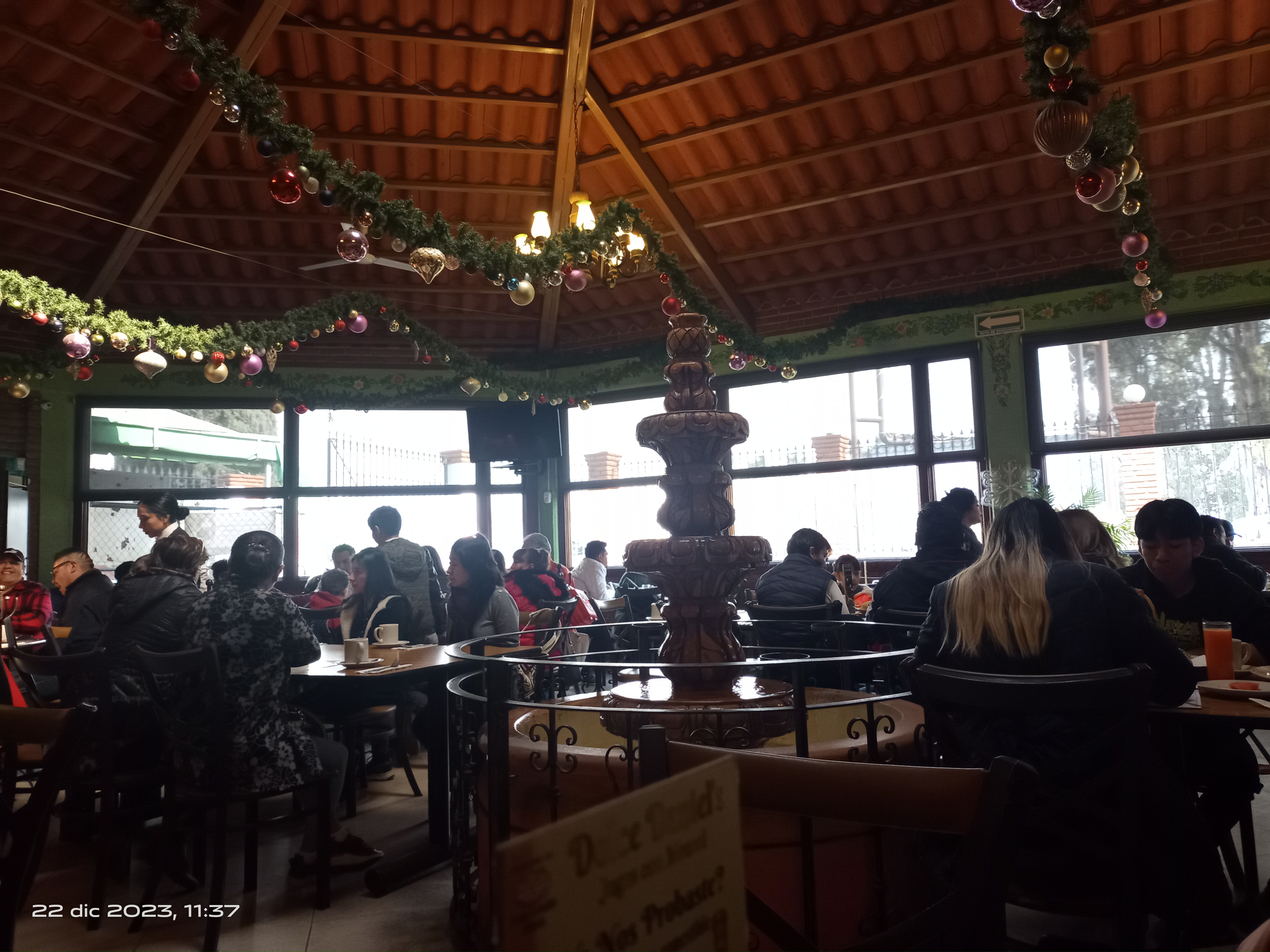 La Ranita Tapatía image 4