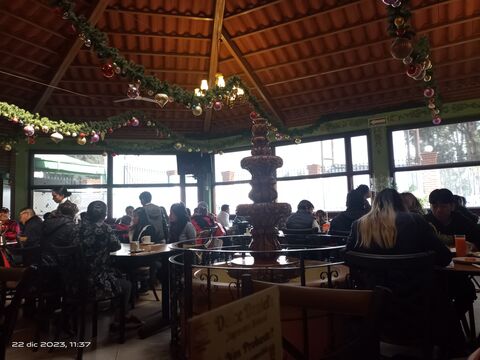 La Ranita Tapatía image 4