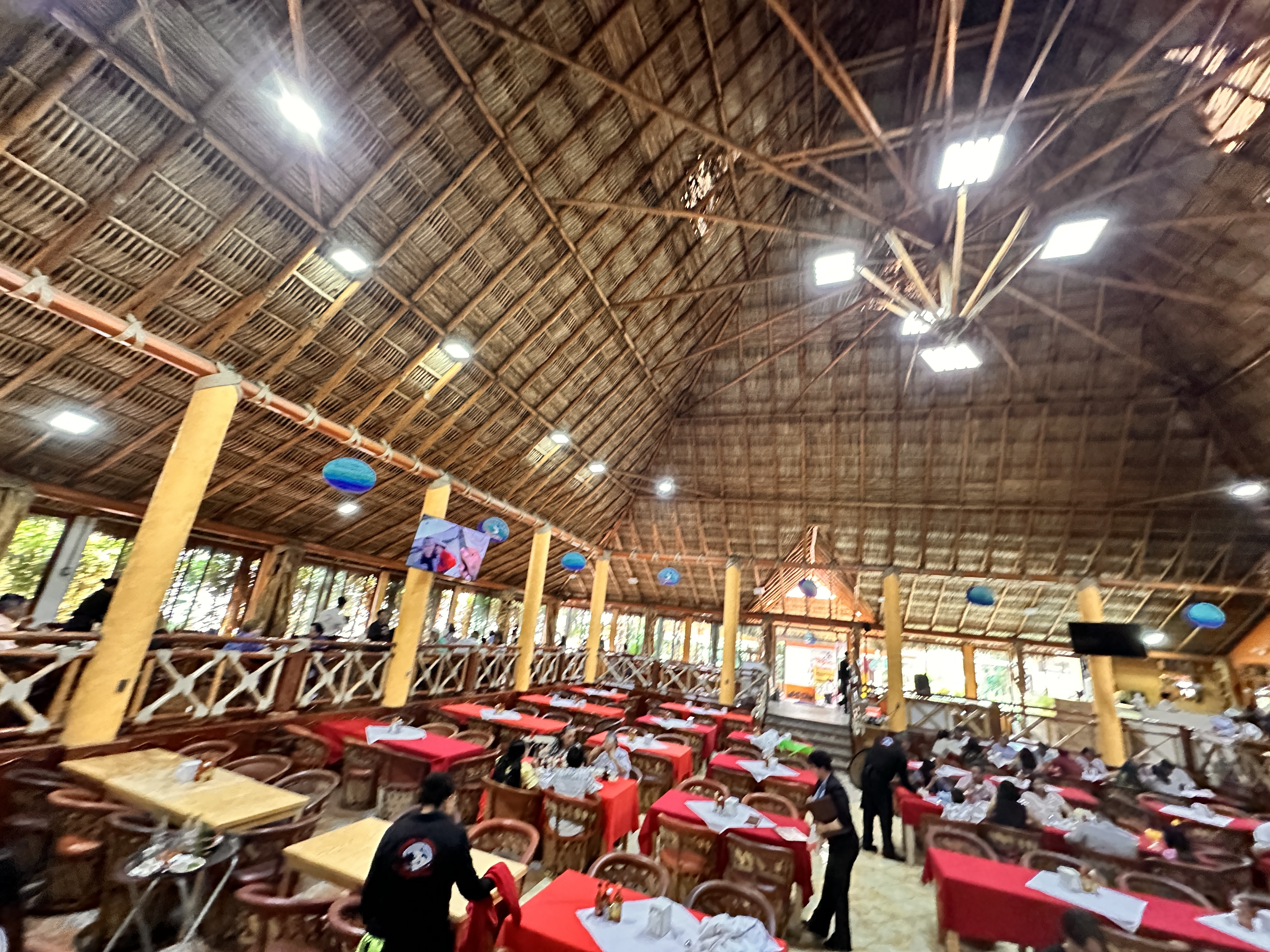 Mi Lindo Mazatlán image 4