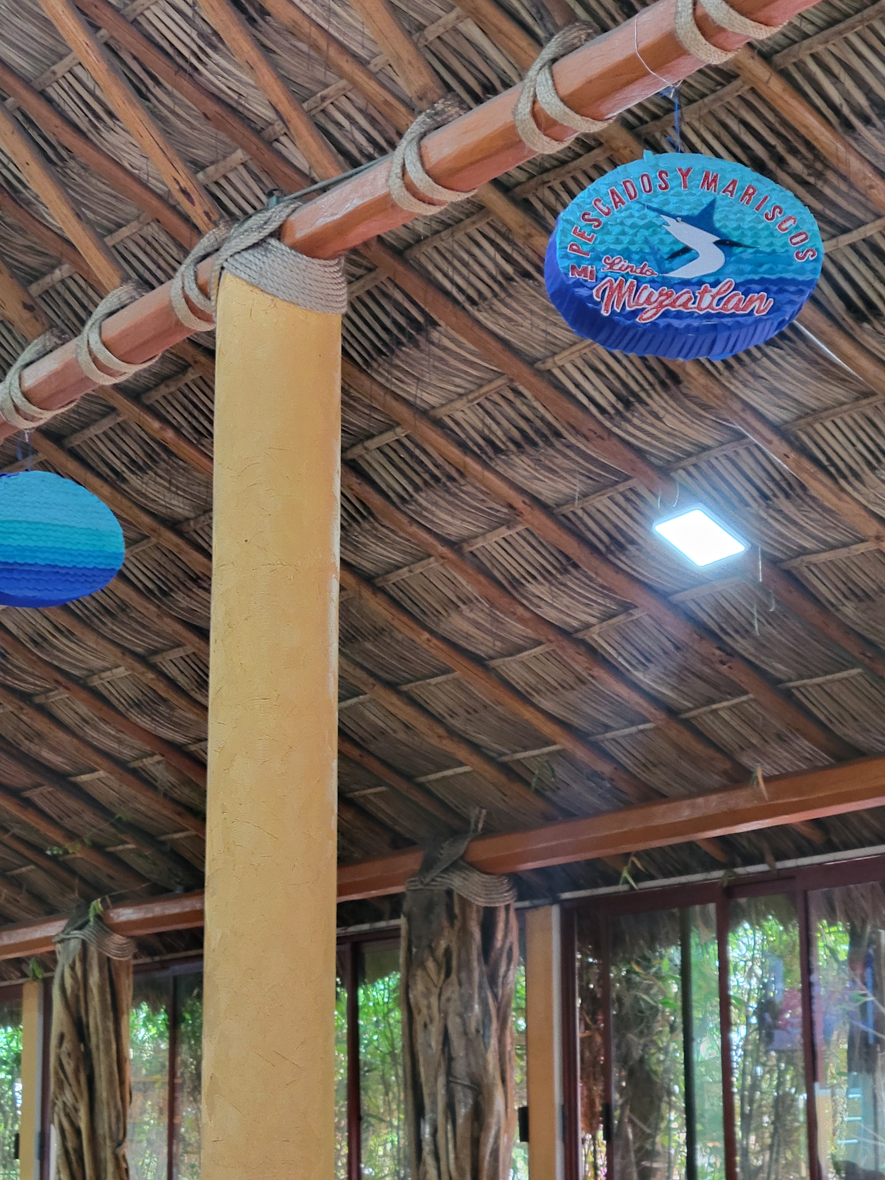 Mi Lindo Mazatlán image 6