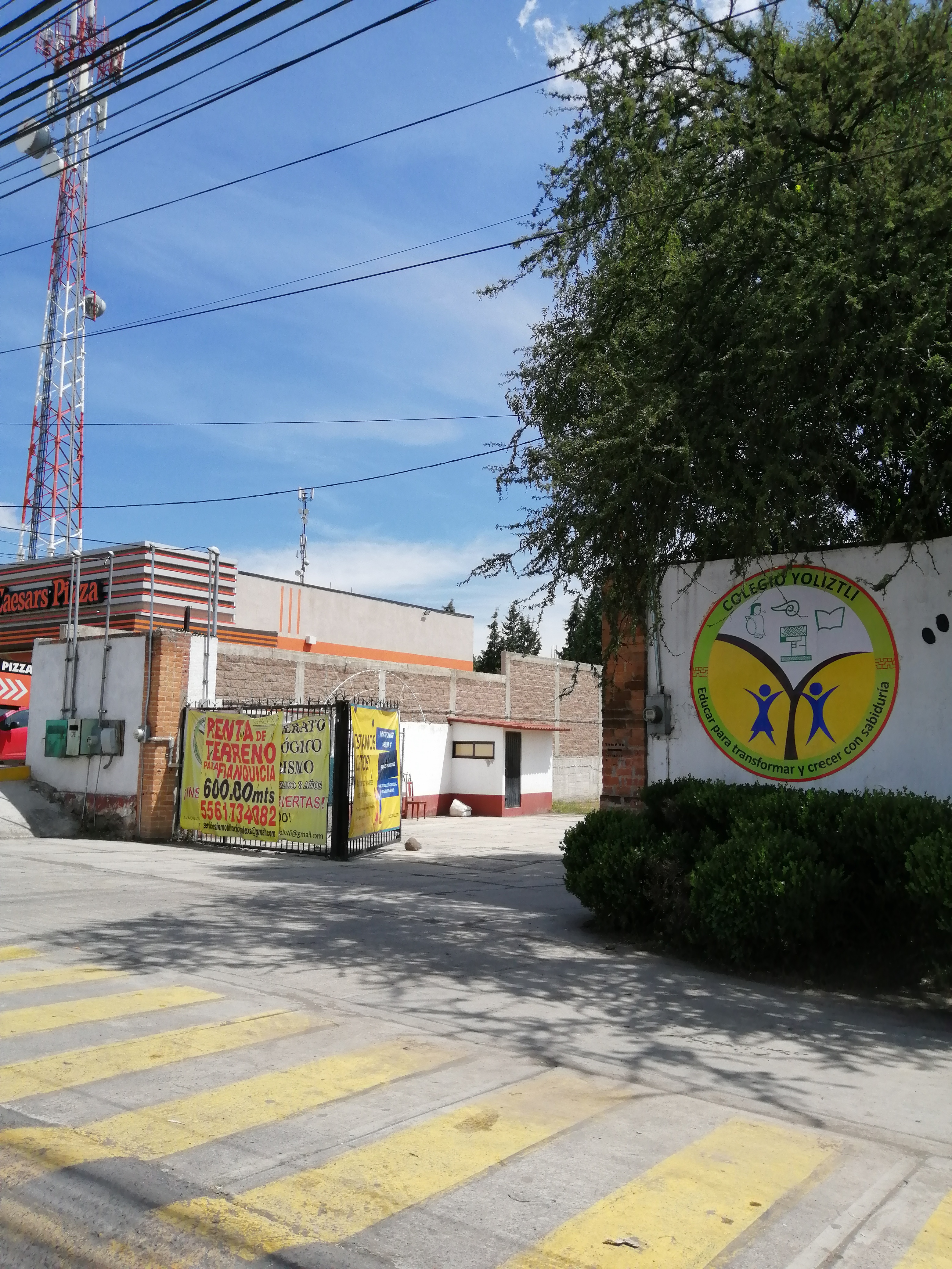 Little Caesars Pizza image 5