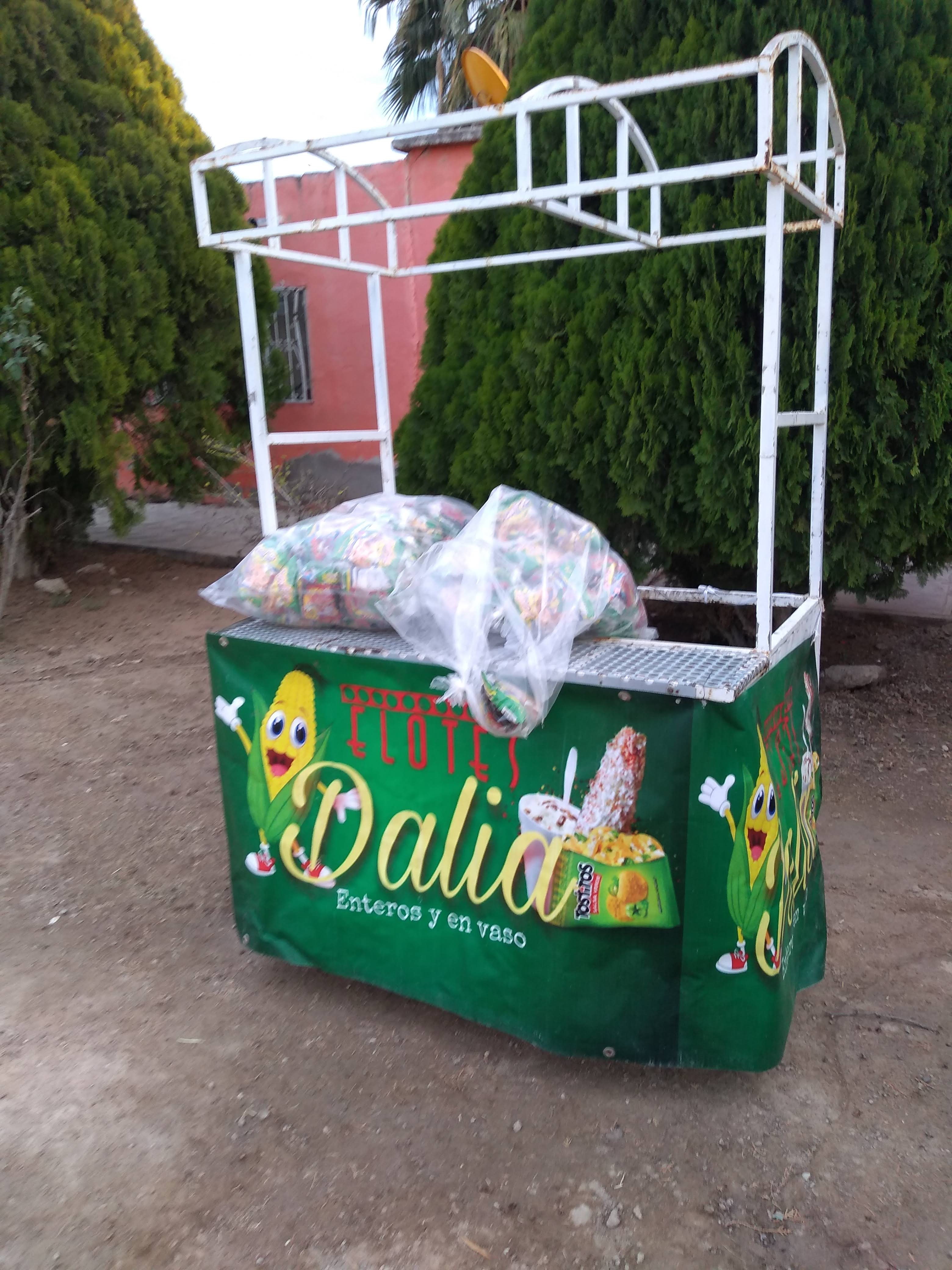 Elotes Dalia image 3