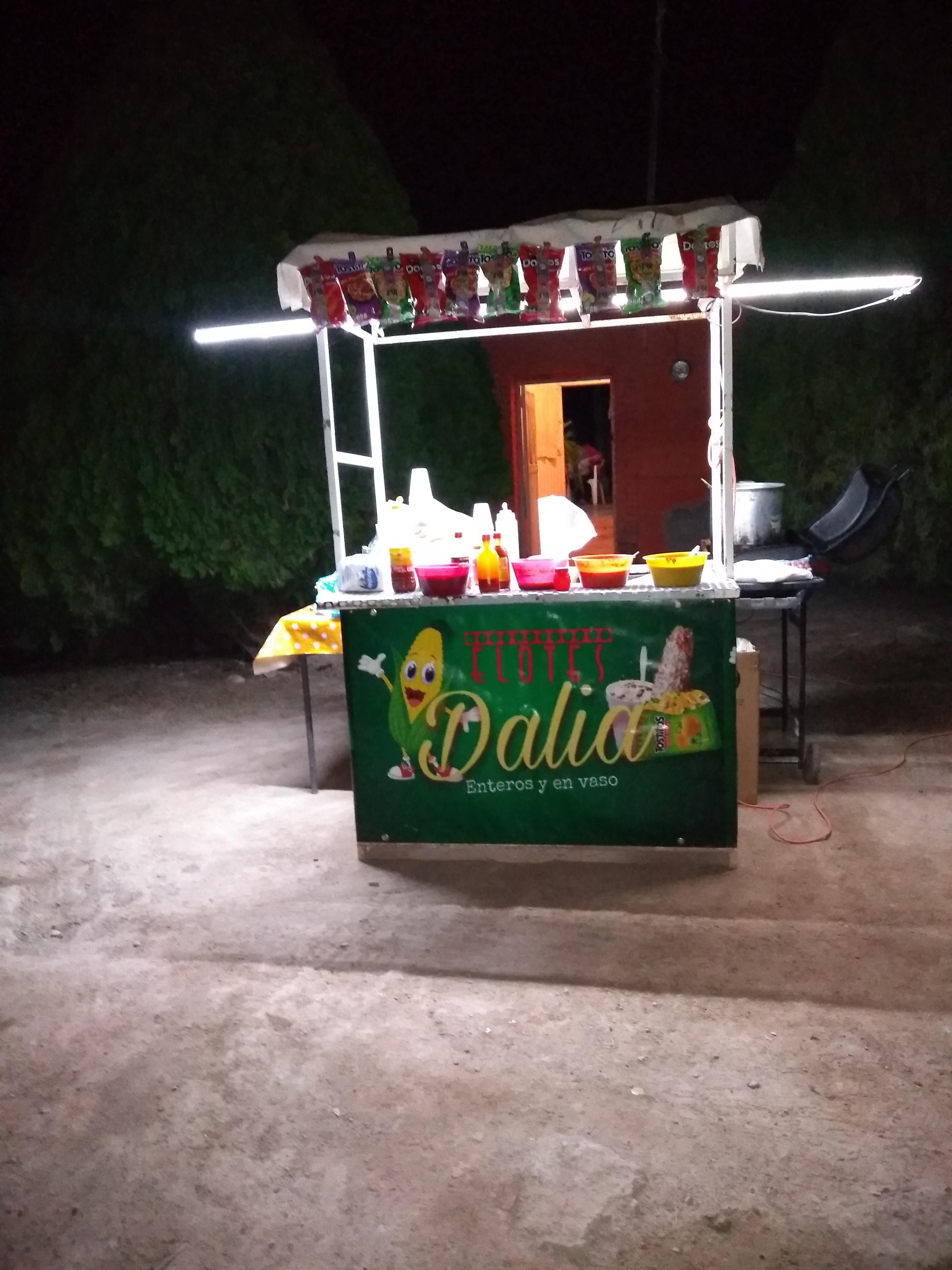 Elotes Dalia image 8