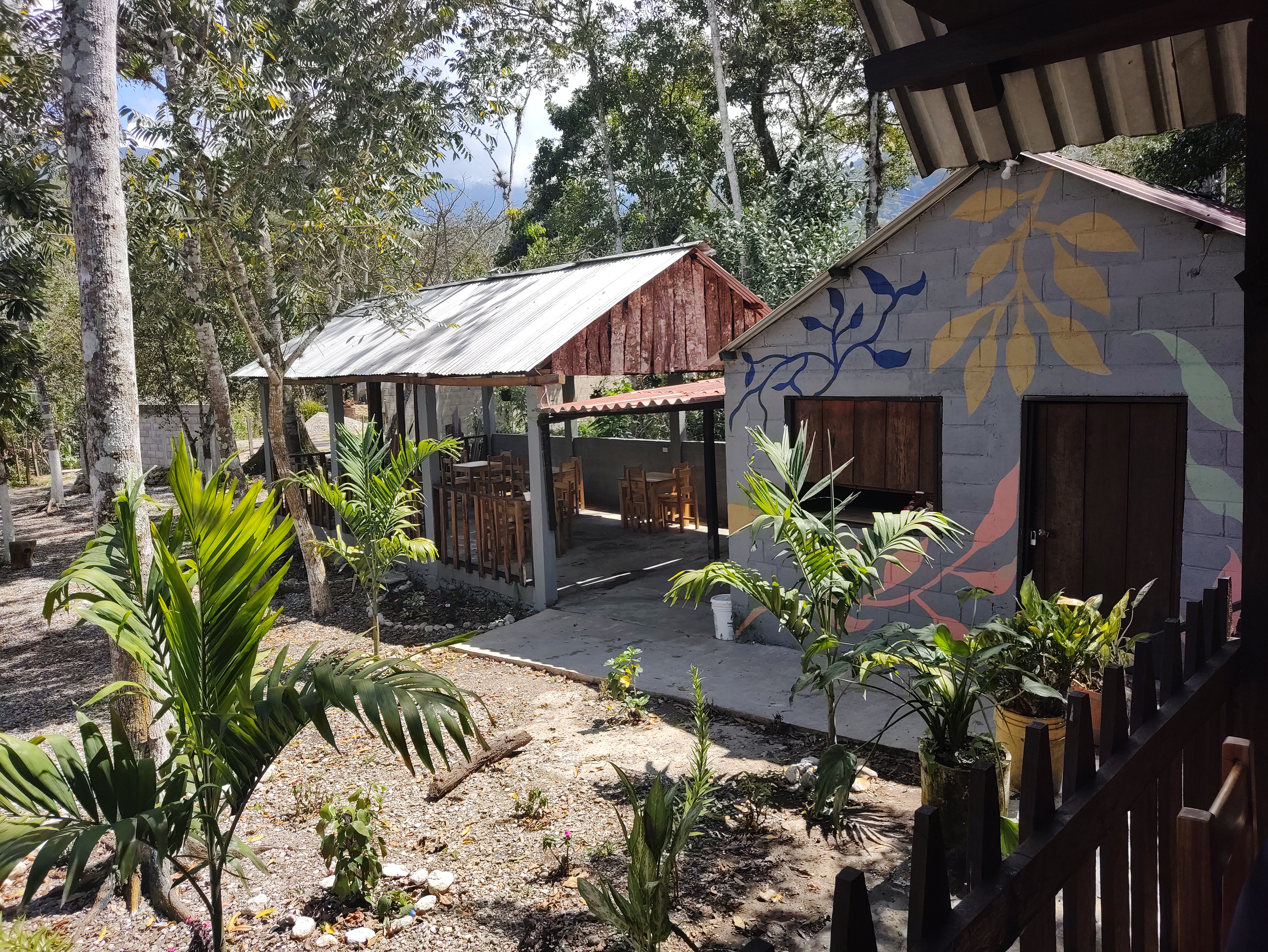 La Casa de las Flores image 4