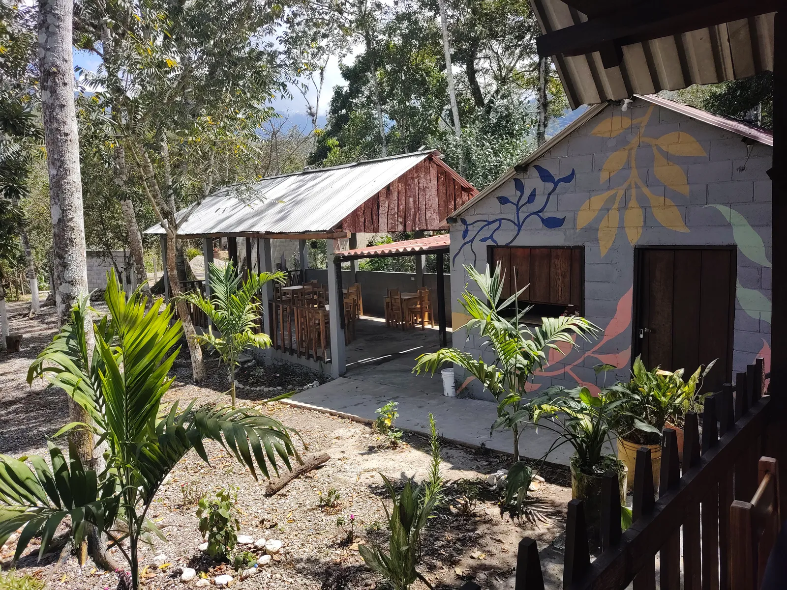 La Casa de las Flores image 4