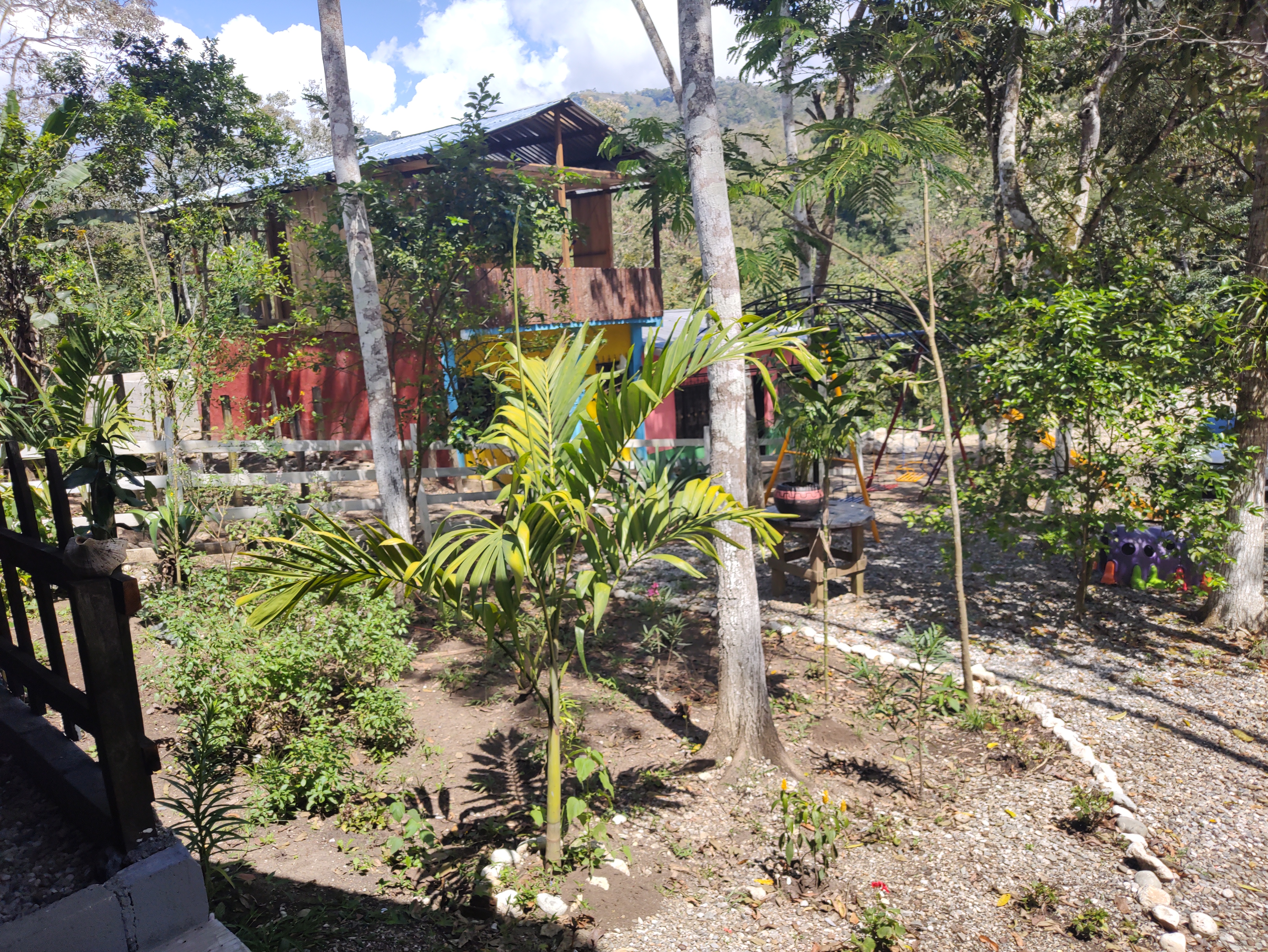 La Casa de las Flores image 5