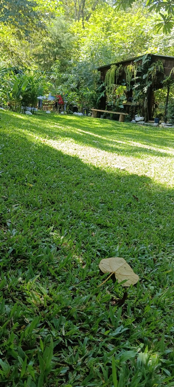 Palapa y Balneario los Kanelos image 2