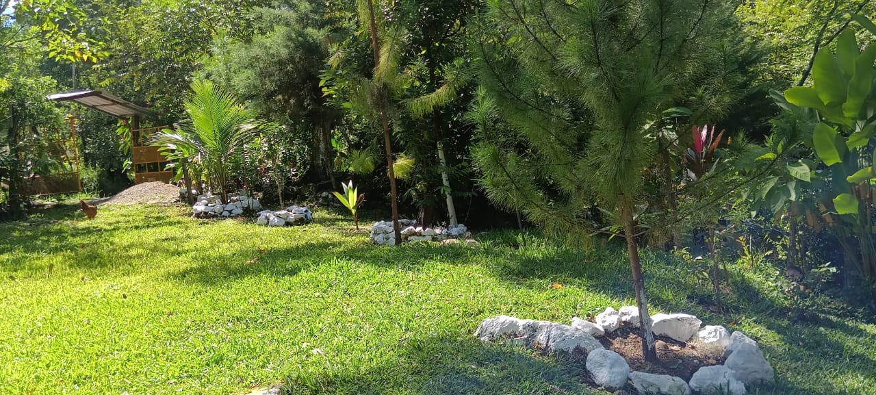 Palapa y Balneario los Kanelos image 3