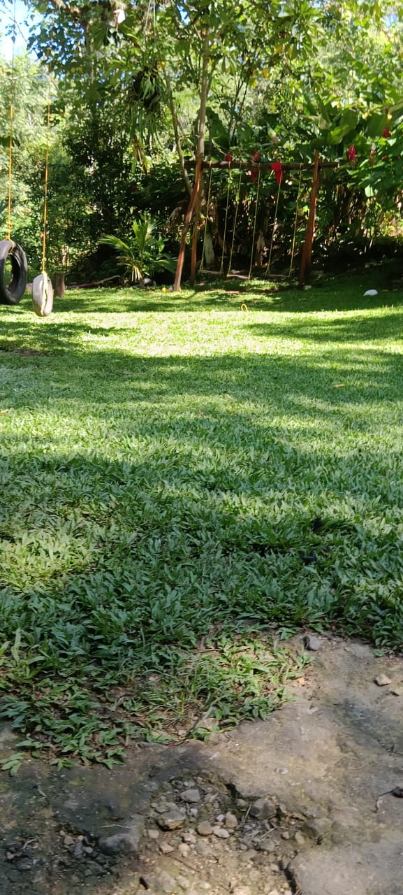 Palapa y Balneario los Kanelos image 5