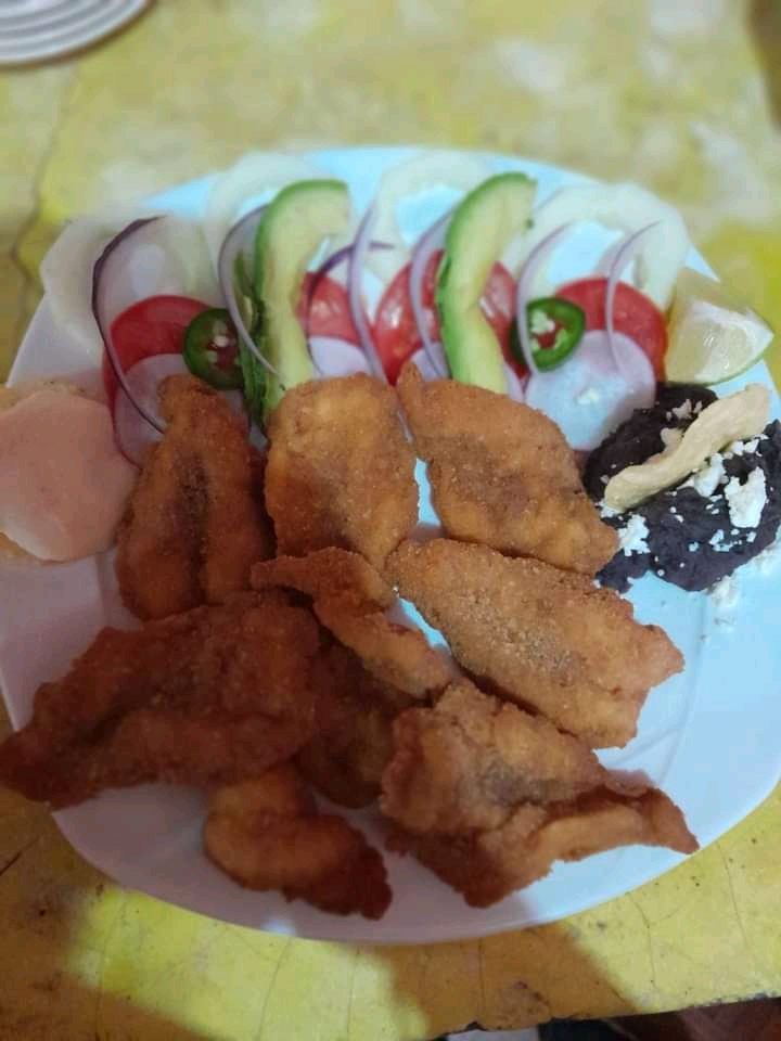 CENTRO BOTANERO LA PISTEADA image 2