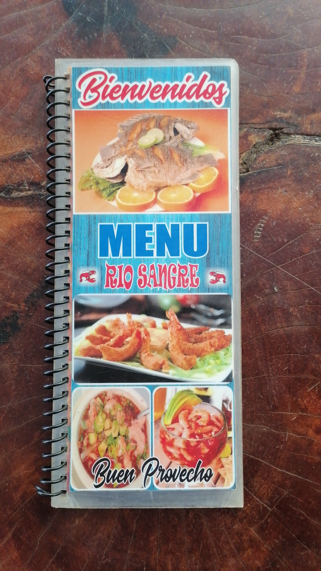 Palapa Río sangre image 7