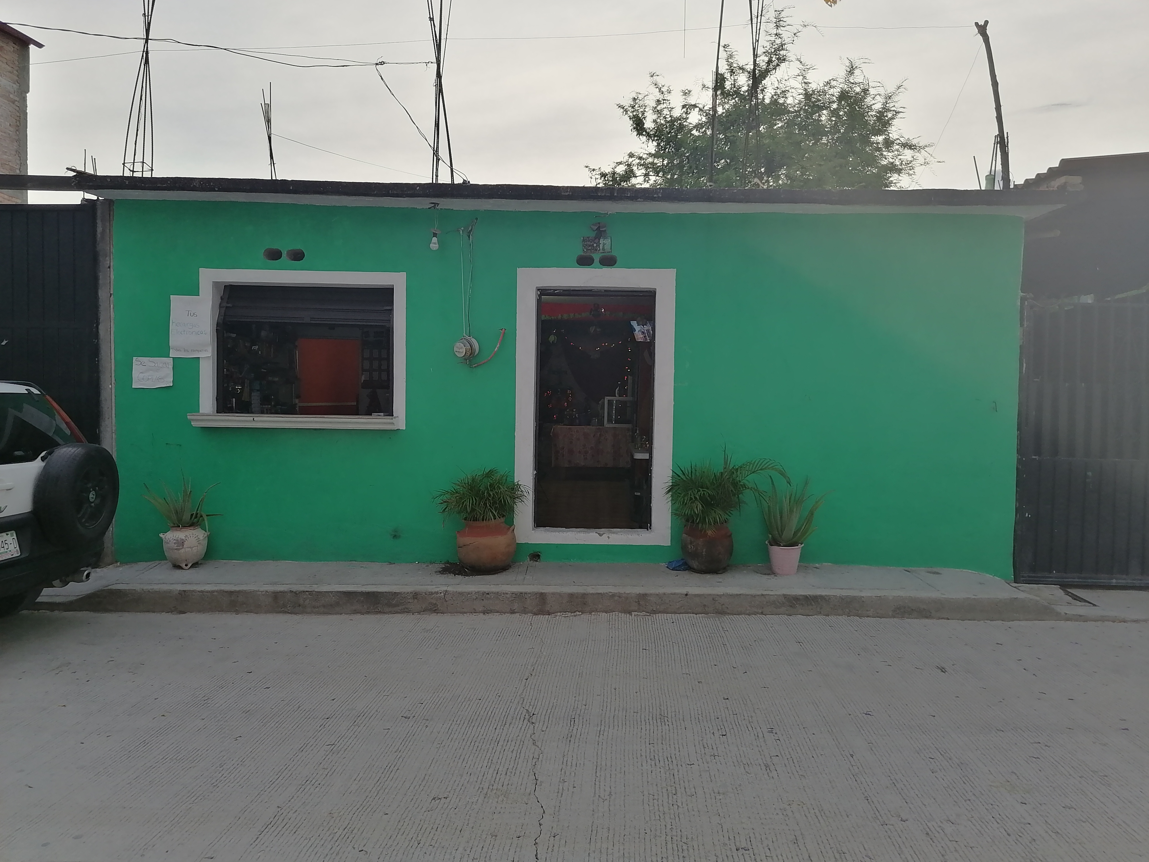 Pizzeria Lizbeth image 5