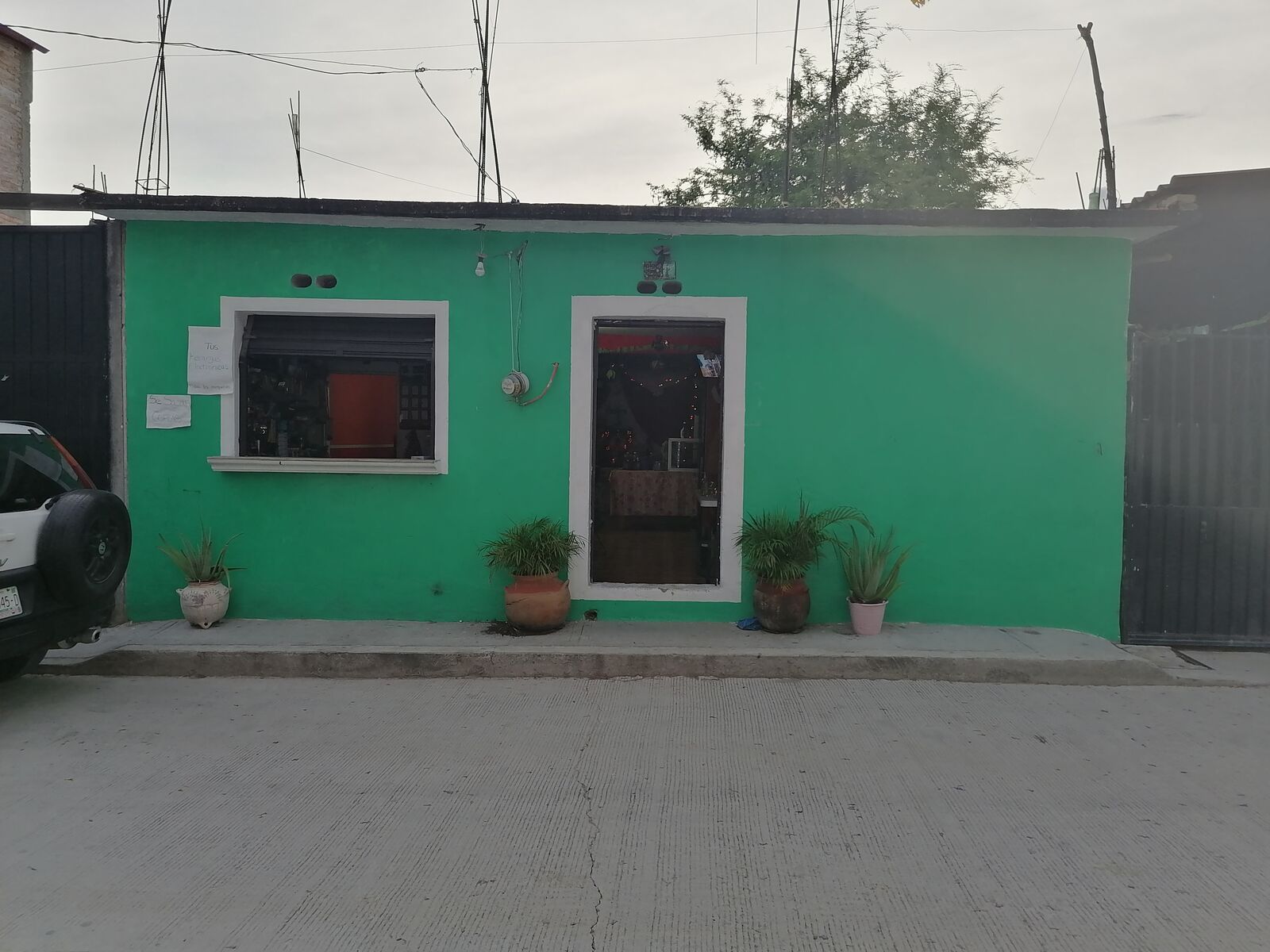 Pizzeria Lizbeth image 5