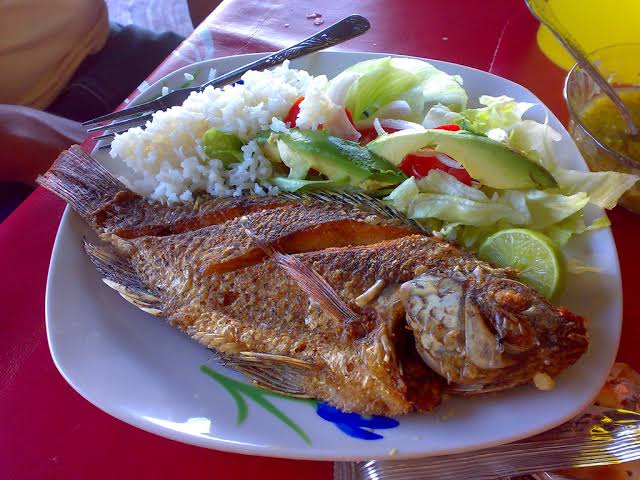 Mar y tierra image 3