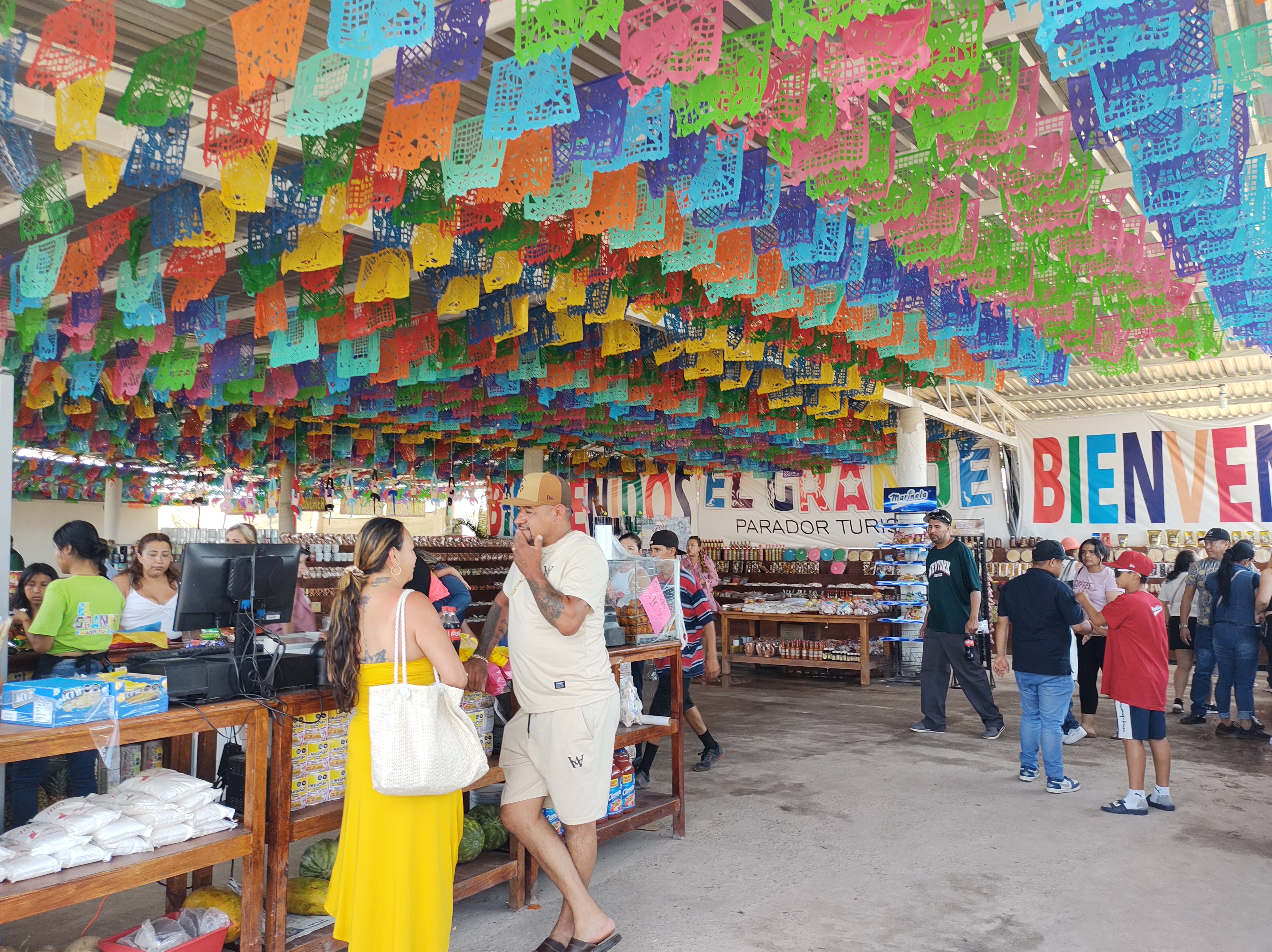 El grande parador turístico rosa morada image 4