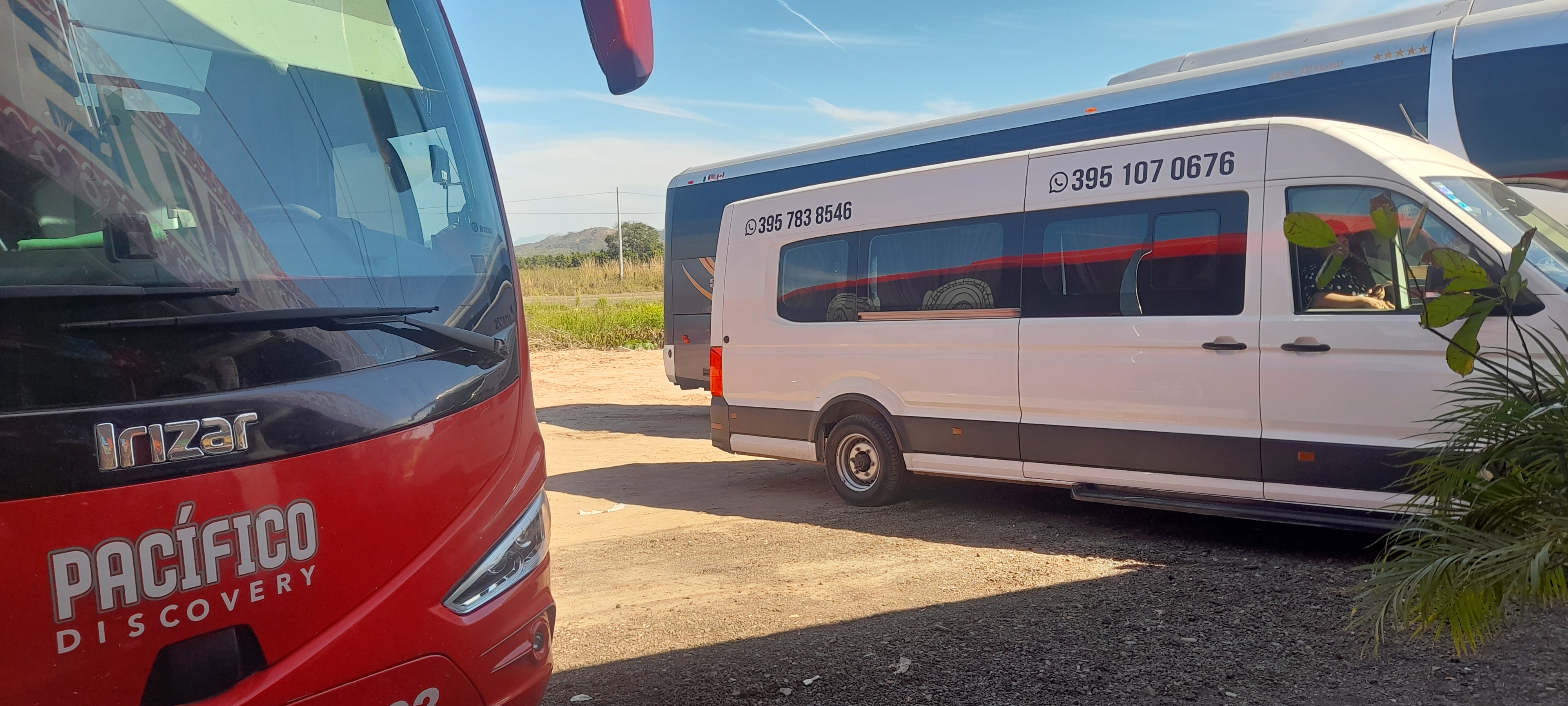 El grande parador turístico rosa morada image 10