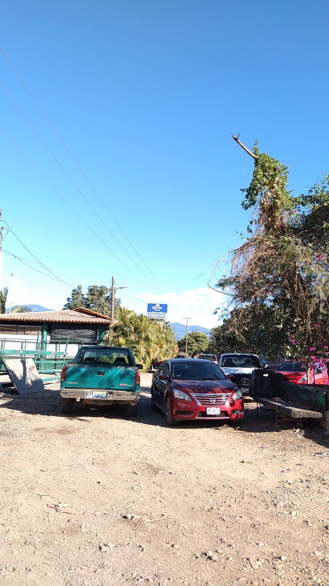 Mariscos Palmira's image 10