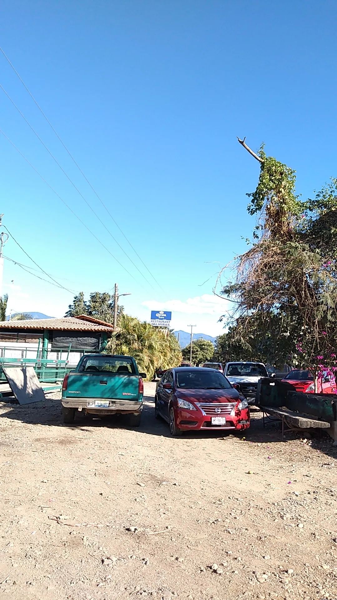 Mariscos Palmira's image 10
