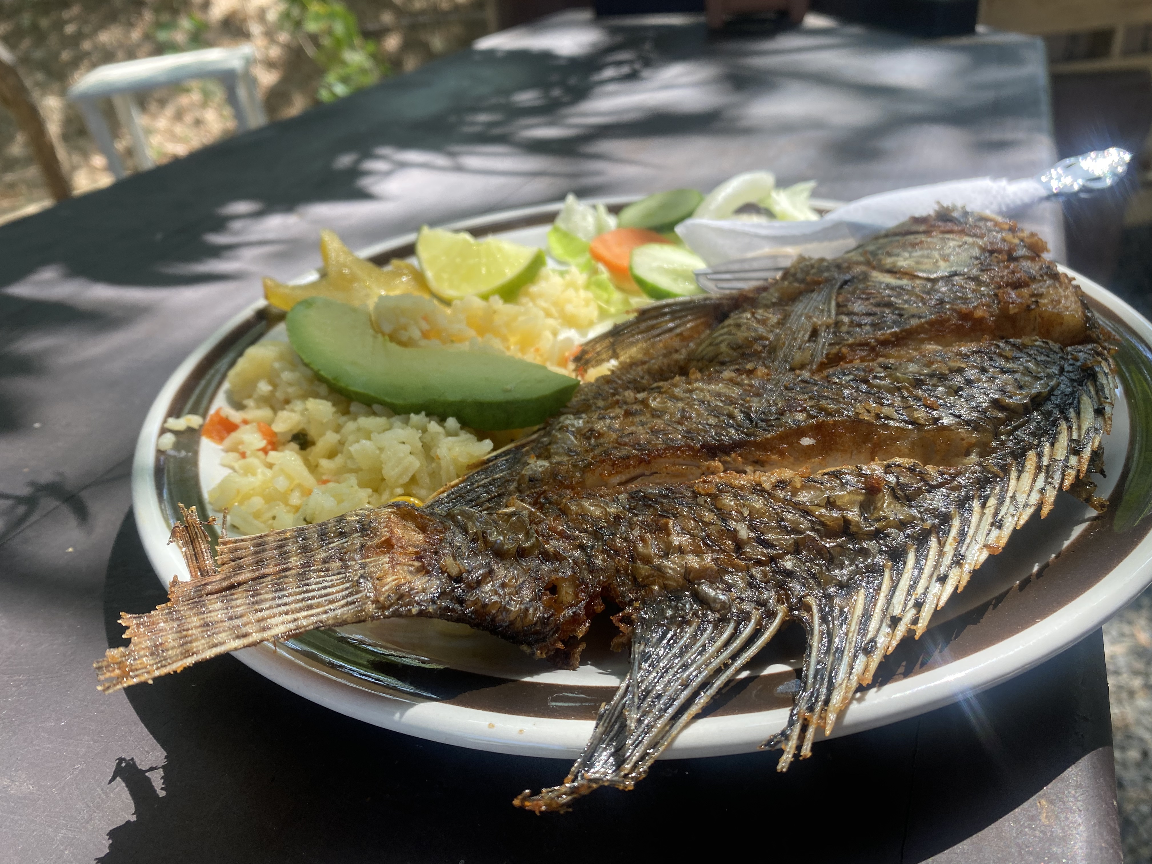 Las higueras image 2