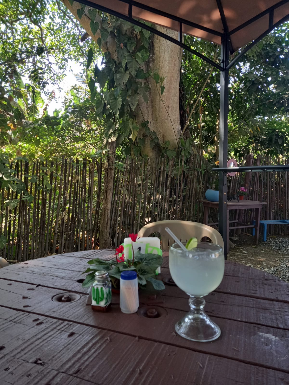 Las higueras image 5